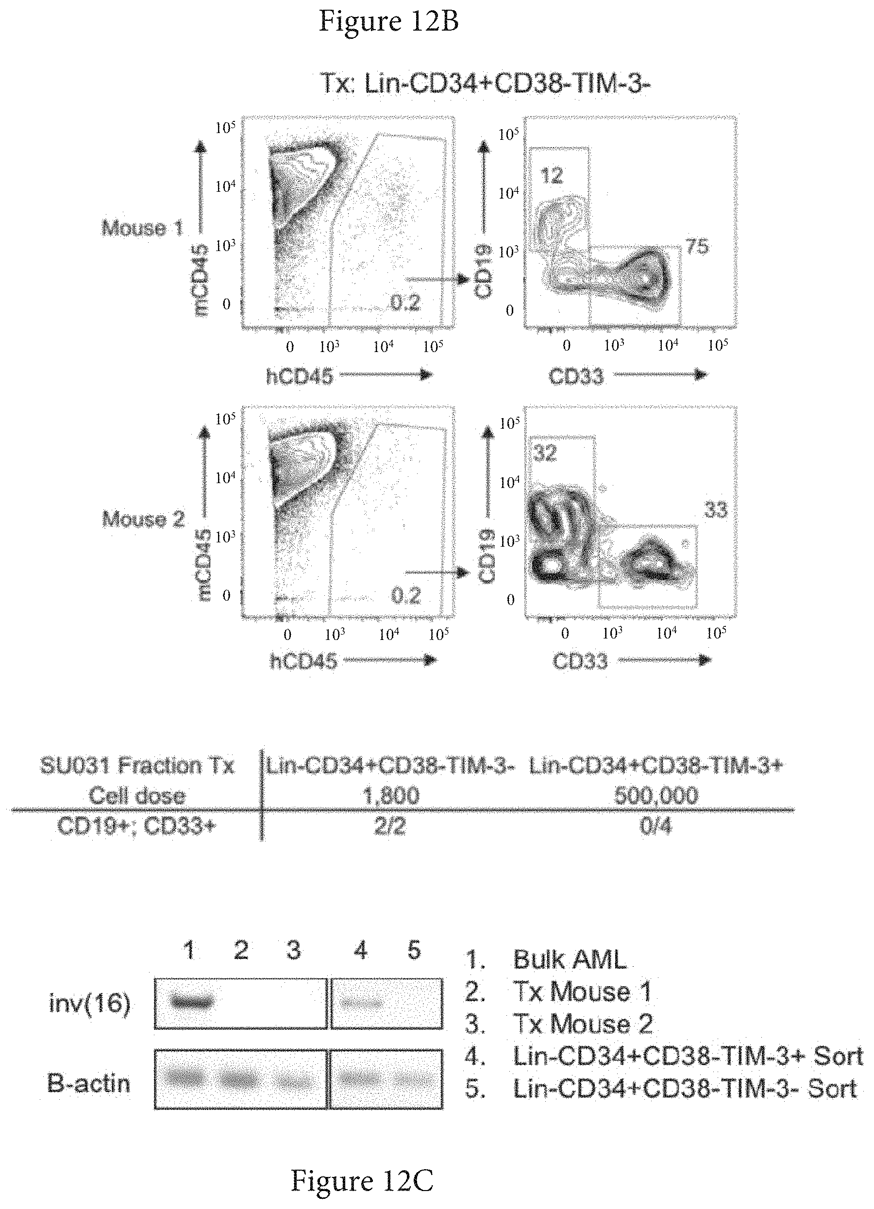 Patent US11773165 Figure 18 – Markers of acute myeloid leukemia stem cells