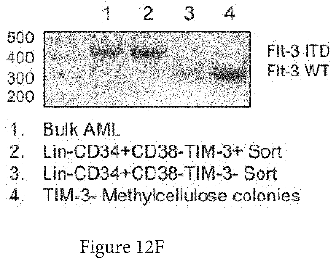Patent US11773165 Figure 20 – Markers of acute myeloid leukemia stem cells