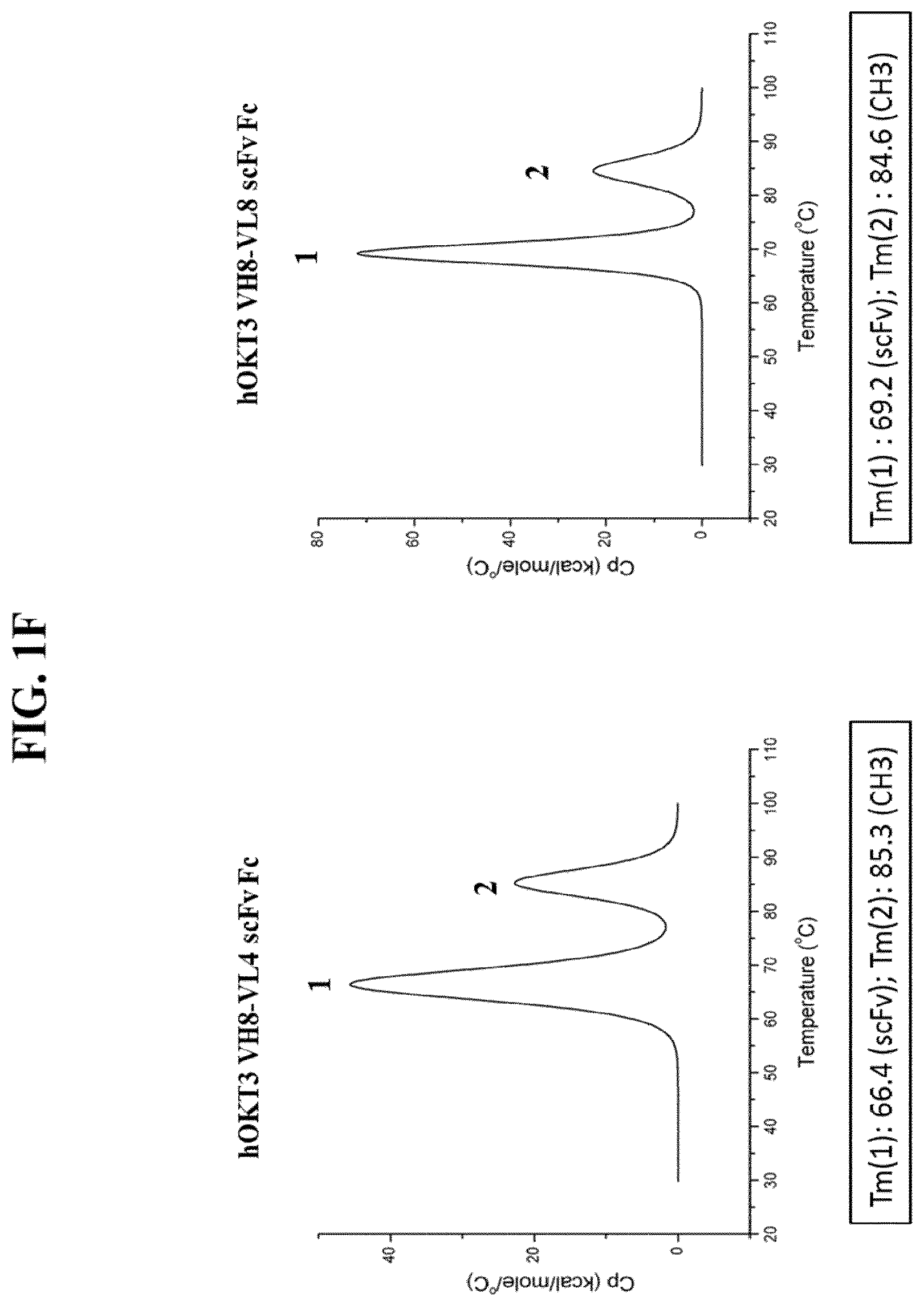 Patent US11773166 Figure 6 – CD3/CD38 T cell retargeting hetero-dimeric immunoglobulins and methods of their production