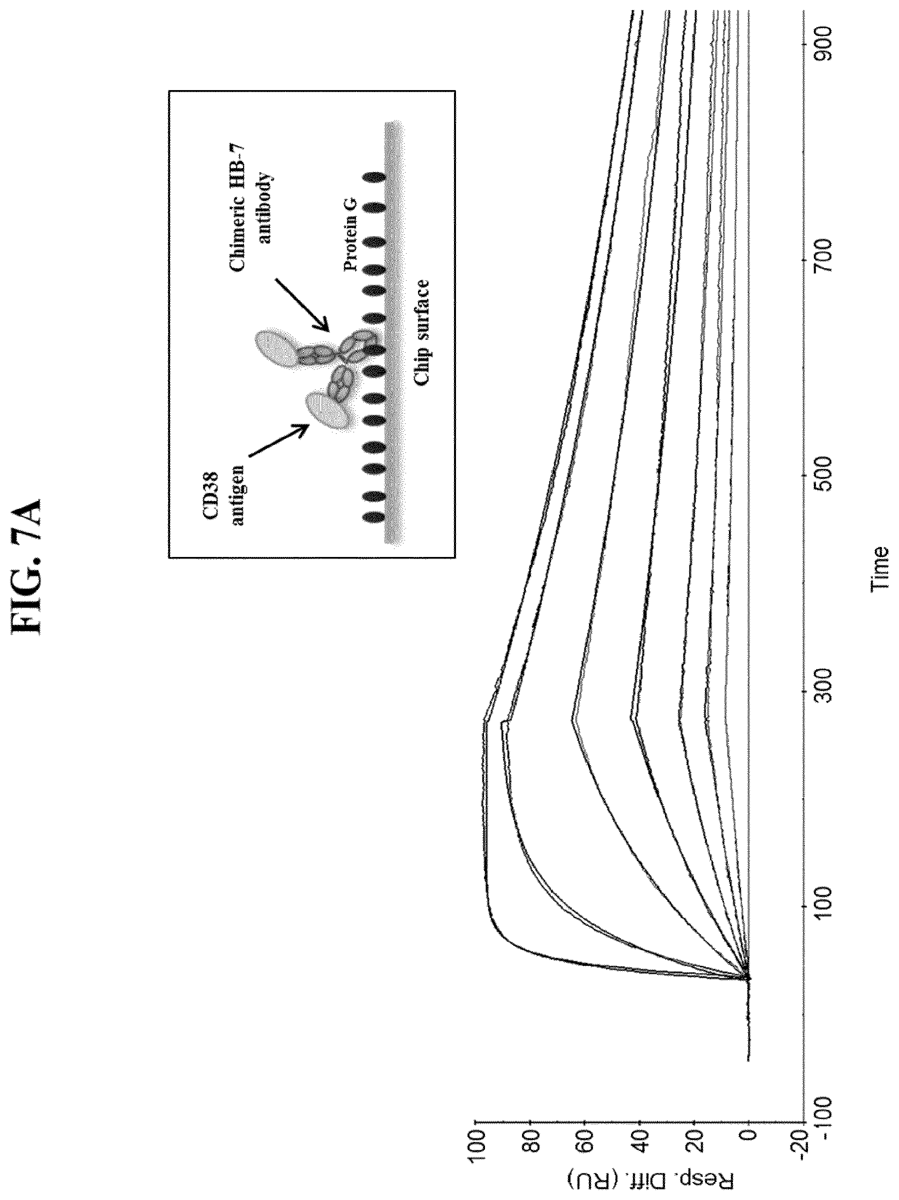 Patent US11773166 Figure 13 – CD3/CD38 T cell retargeting hetero-dimeric immunoglobulins and methods of their production
