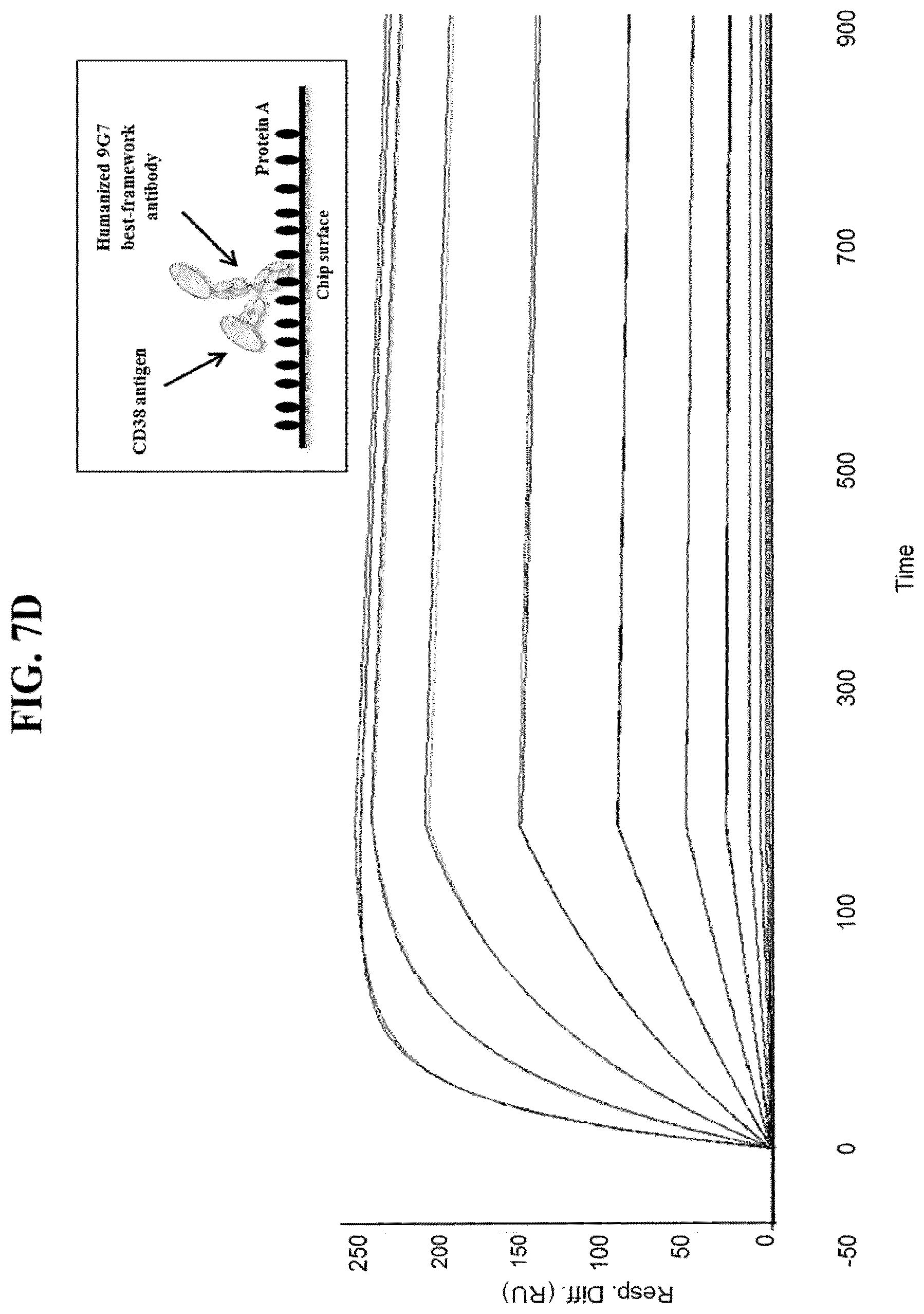 Patent US11773166 Figure 16 – CD3/CD38 T cell retargeting hetero-dimeric immunoglobulins and methods of their production