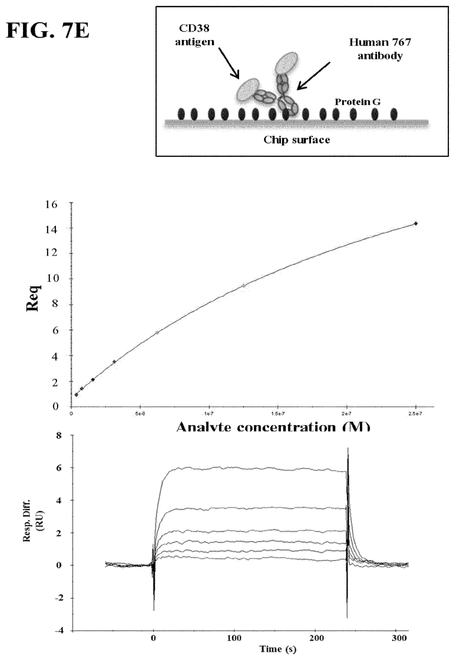 Patent US11773166 Figure 17 – CD3/CD38 T cell retargeting hetero-dimeric immunoglobulins and methods of their production