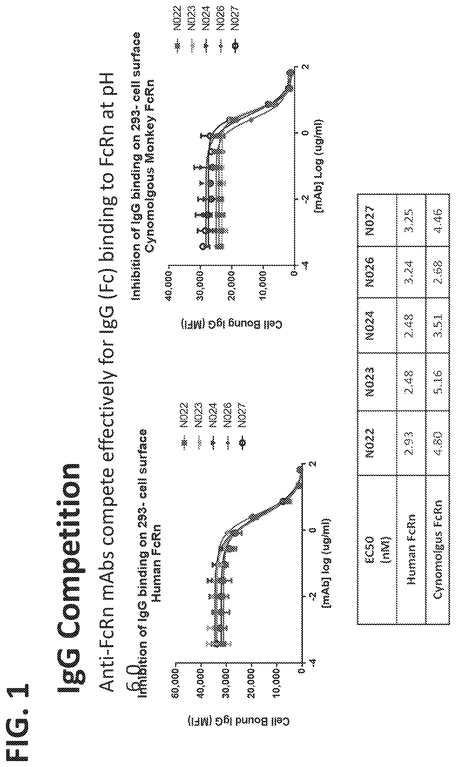 Patent US11773168 Figure 1 – FcRn antibodies and methods of use thereof