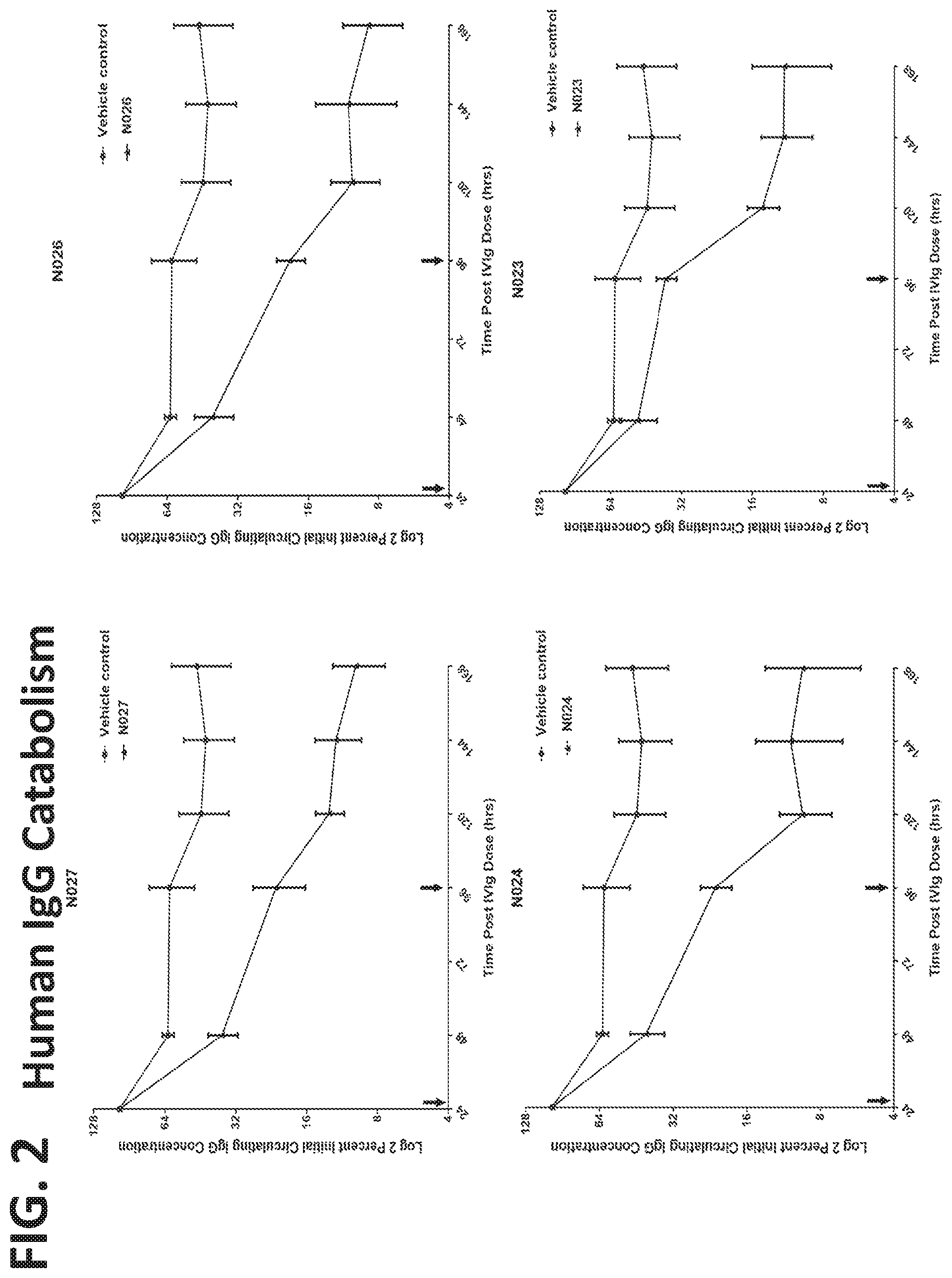 Patent US11773168 Figure 2 – FcRn antibodies and methods of use thereof