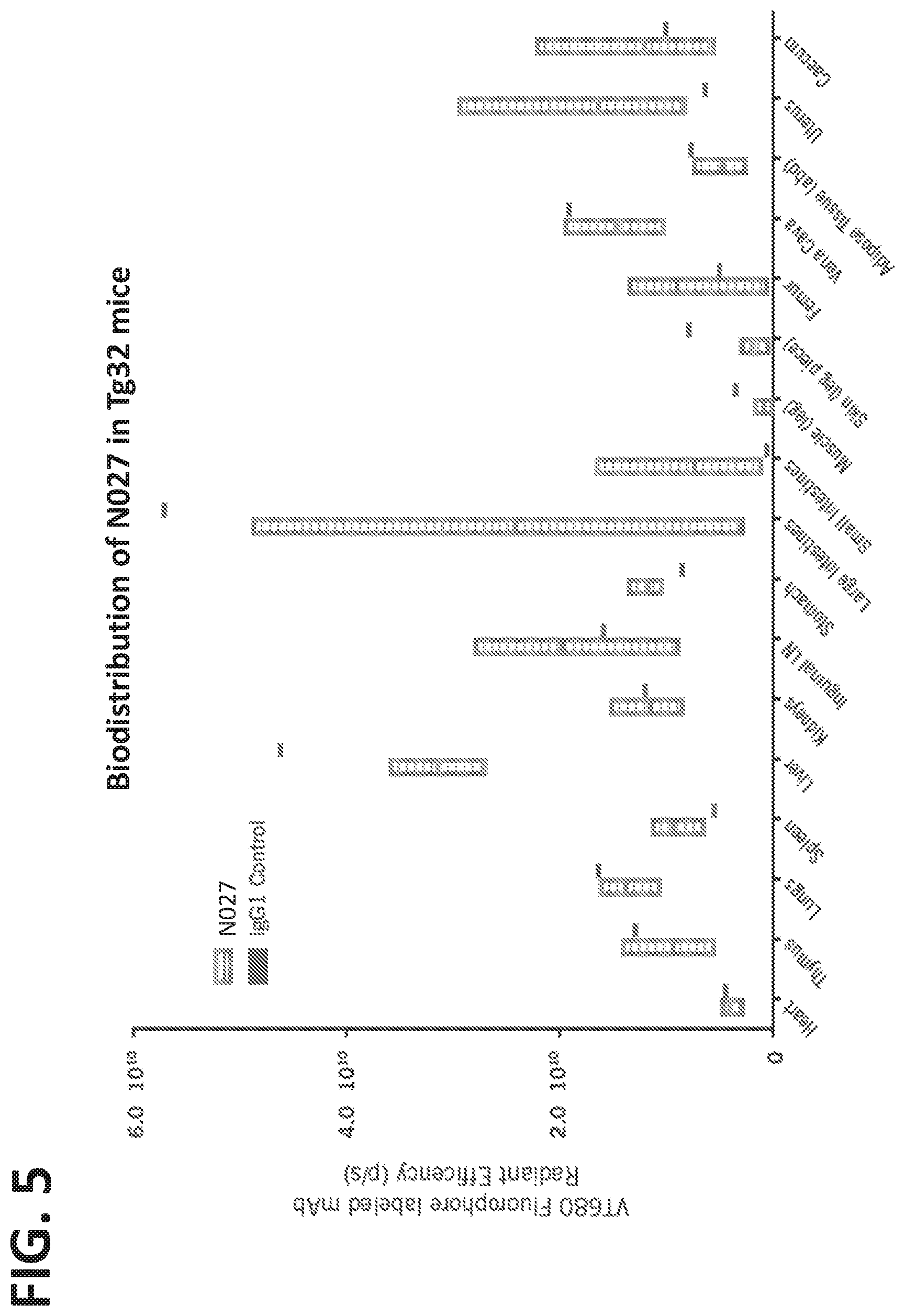 Patent US11773168 Figure 5 – FcRn antibodies and methods of use thereof