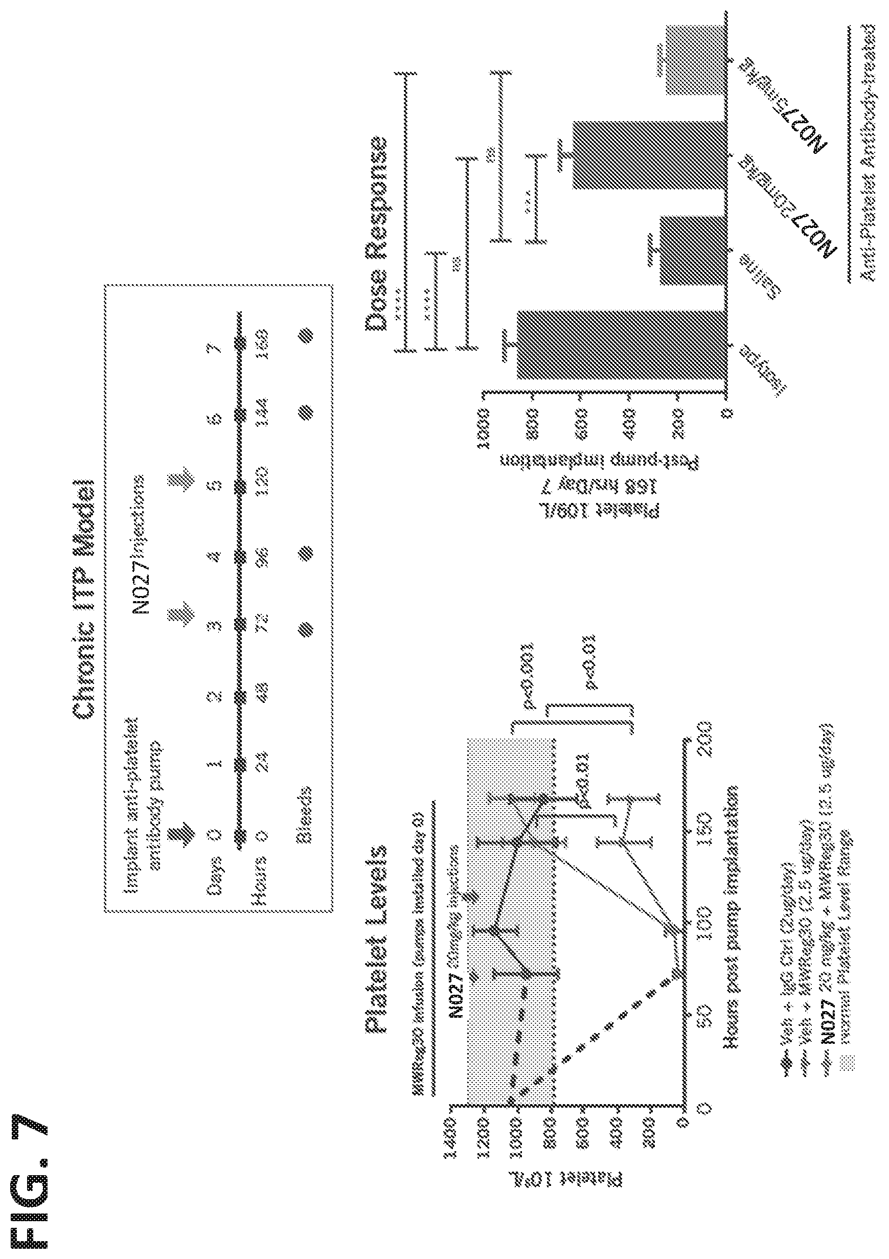 Patent US11773168 Figure 7 – FcRn antibodies and methods of use thereof