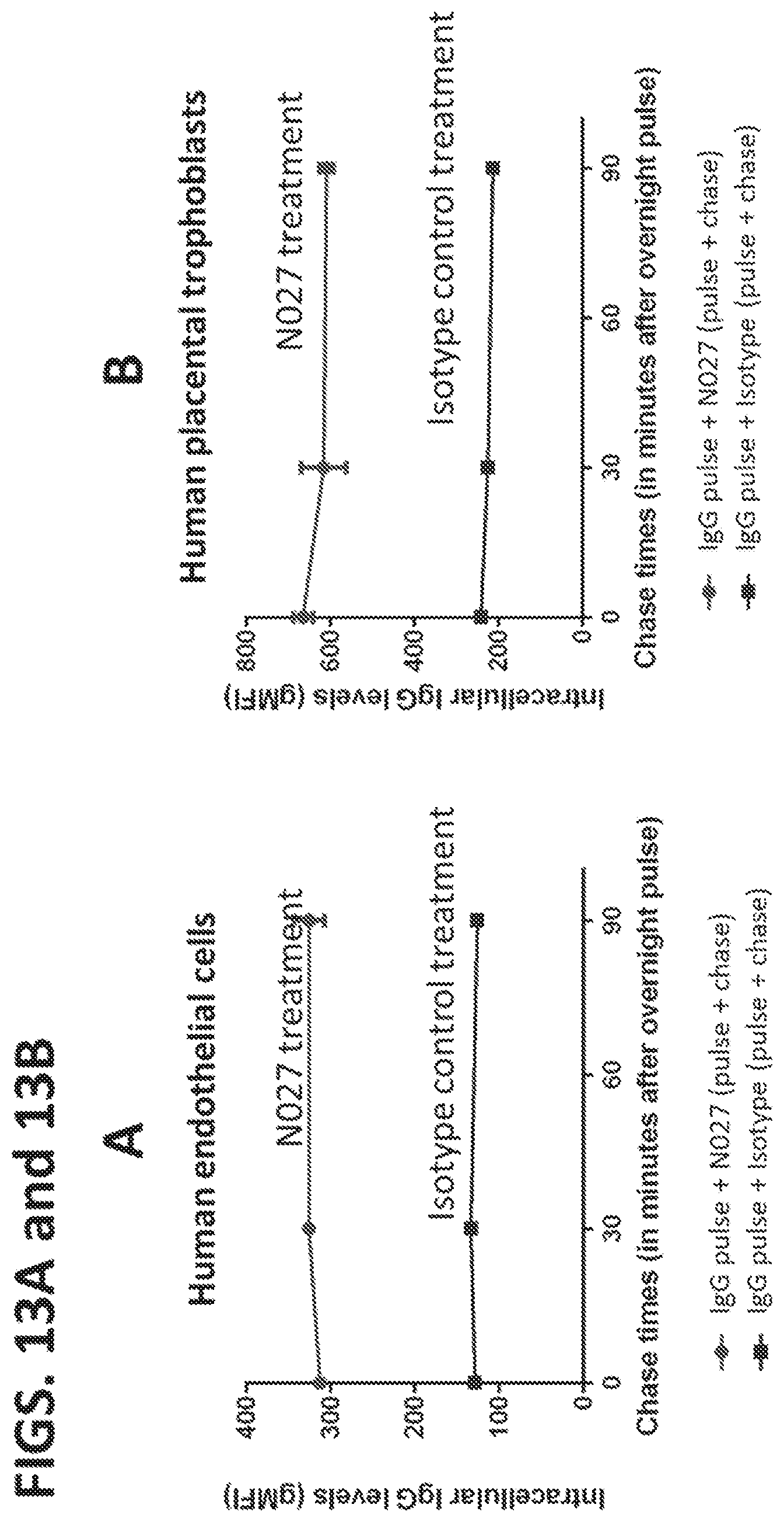 Patent US11773168 Figure 13 – FcRn antibodies and methods of use thereof