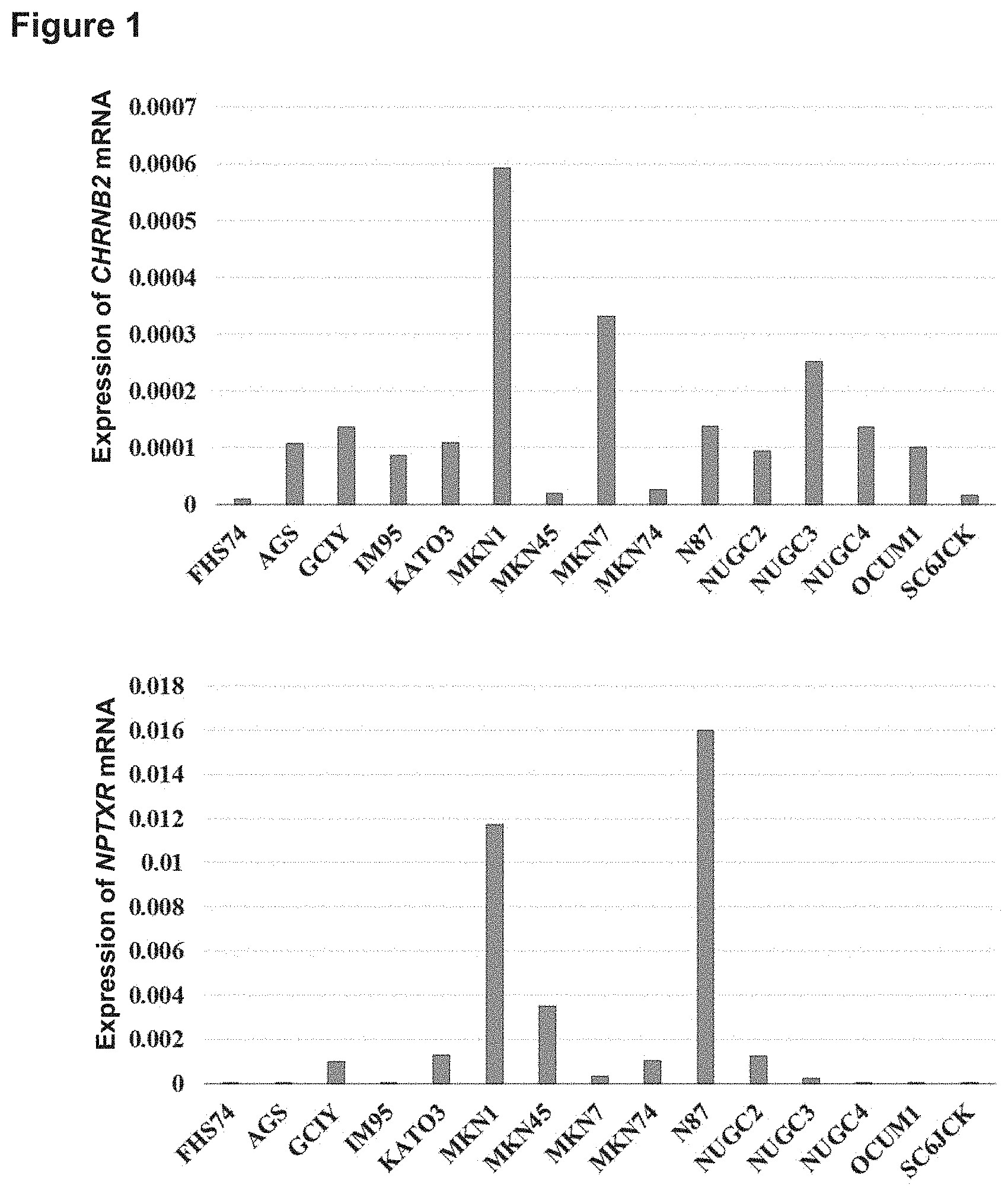 Patent US11773169 Figure 1 – Therapeutic agent targeted to receptor protein, test agent, antibody that binds to receptor protein, and screening method for molecularly targeted drugs