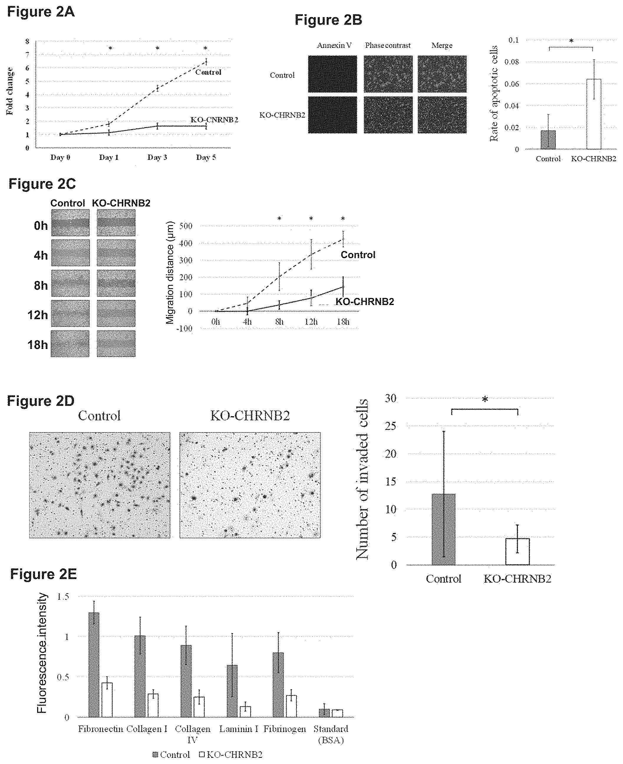 Patent US11773169 Figure 2 – Therapeutic agent targeted to receptor protein, test agent, antibody that binds to receptor protein, and screening method for molecularly targeted drugs