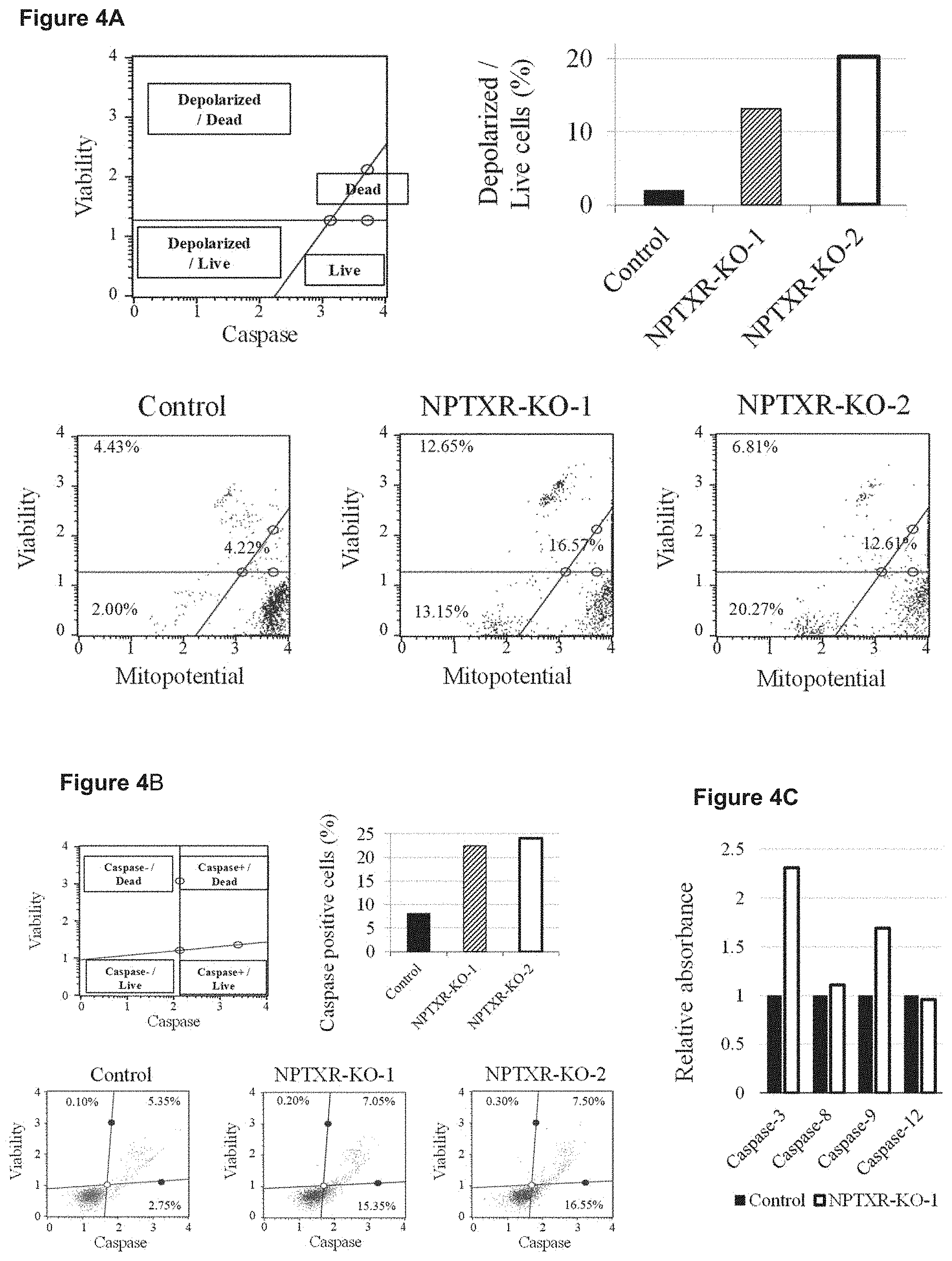 Patent US11773169 Figure 4 – Therapeutic agent targeted to receptor protein, test agent, antibody that binds to receptor protein, and screening method for molecularly targeted drugs