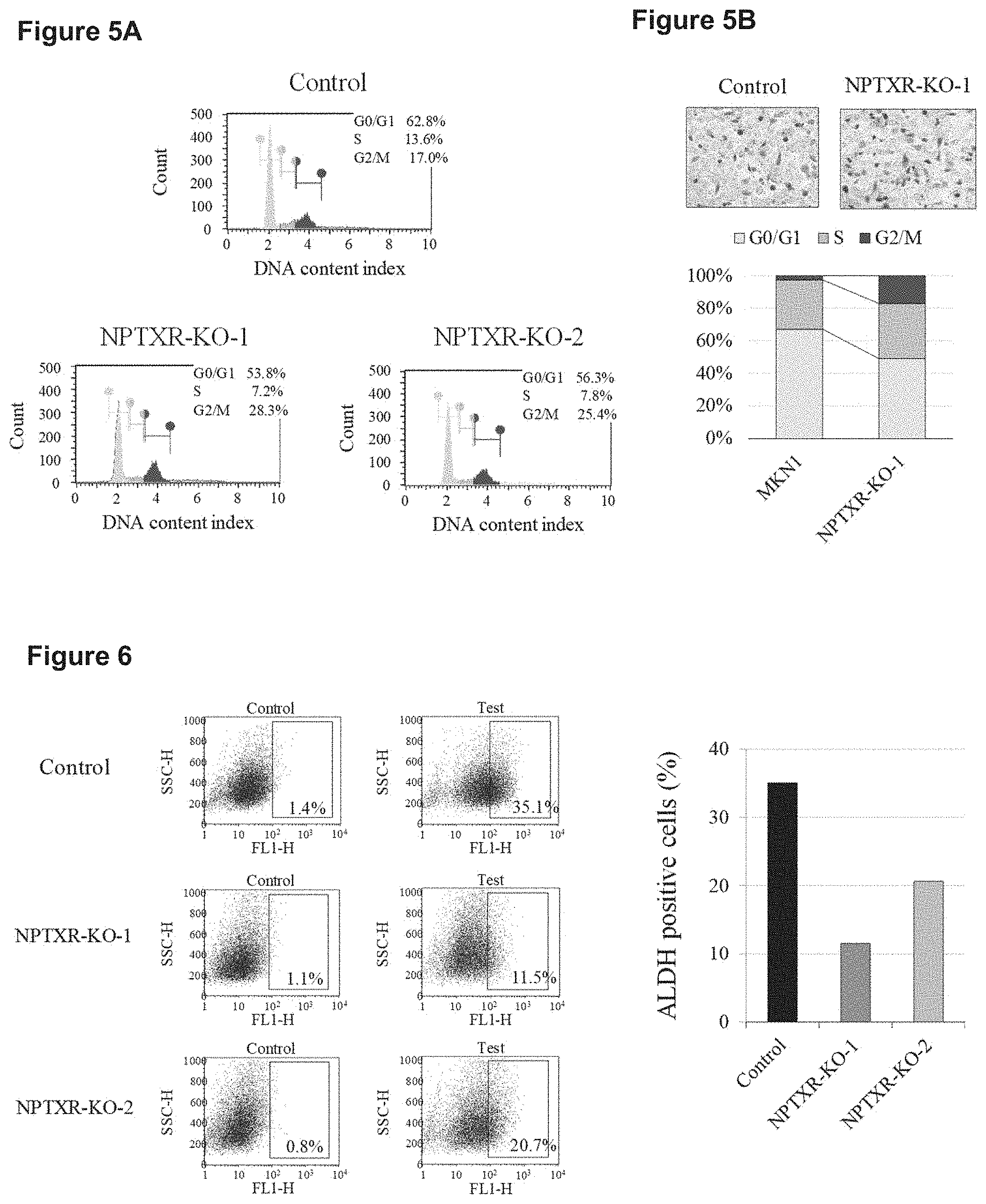 Patent US11773169 Figure 5 – Therapeutic agent targeted to receptor protein, test agent, antibody that binds to receptor protein, and screening method for molecularly targeted drugs