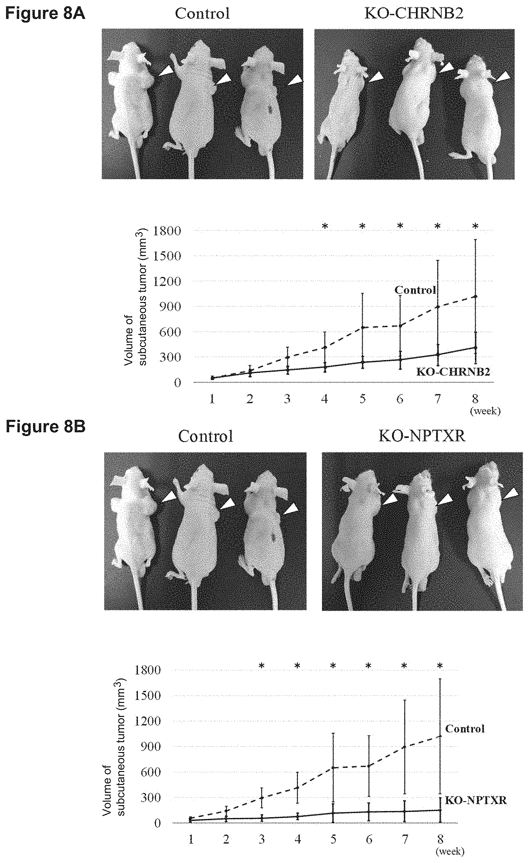 Patent US11773169 Figure 7 – Therapeutic agent targeted to receptor protein, test agent, antibody that binds to receptor protein, and screening method for molecularly targeted drugs