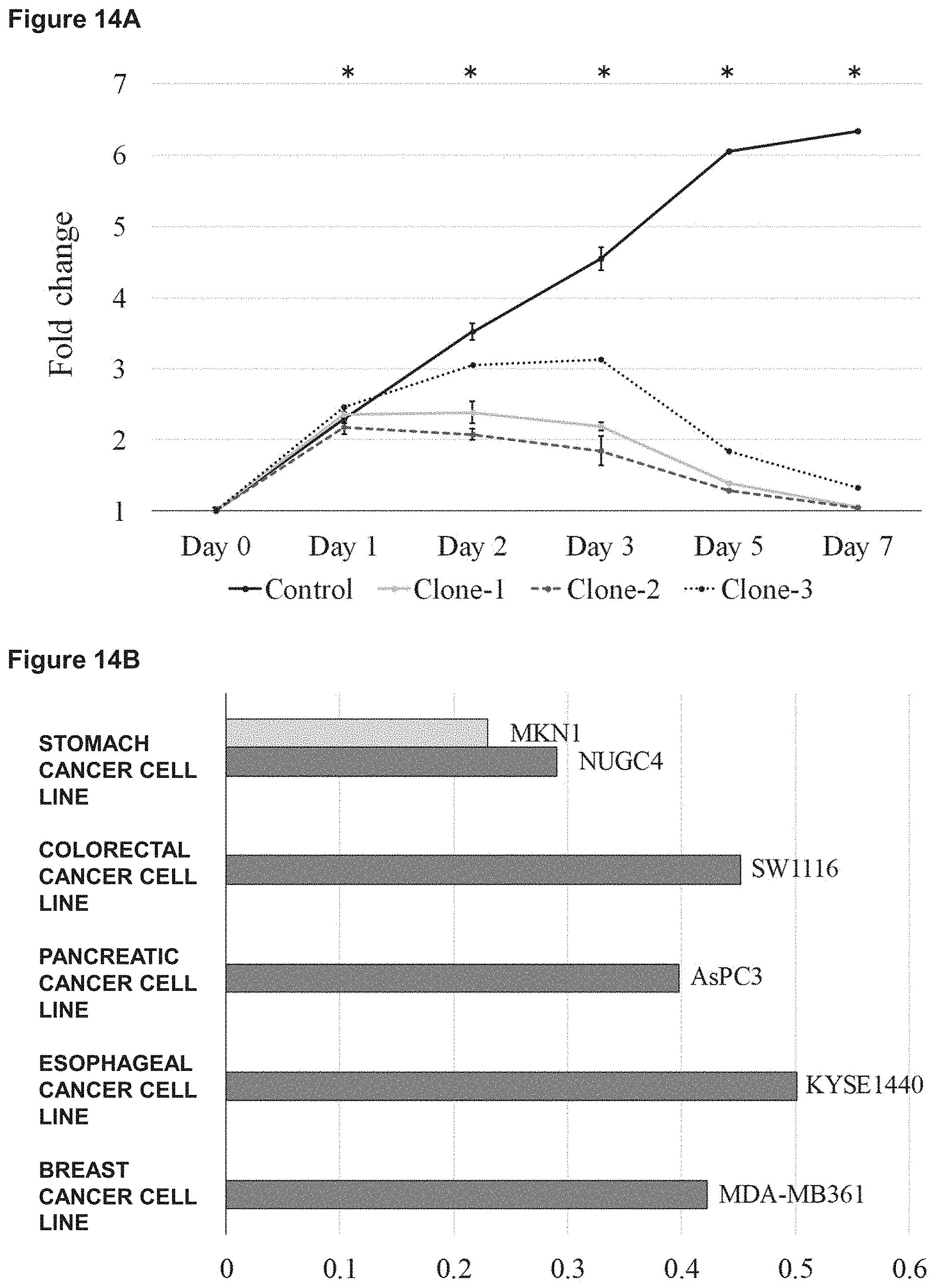 Patent US11773169 Figure 13 – Therapeutic agent targeted to receptor protein, test agent, antibody that binds to receptor protein, and screening method for molecularly targeted drugs