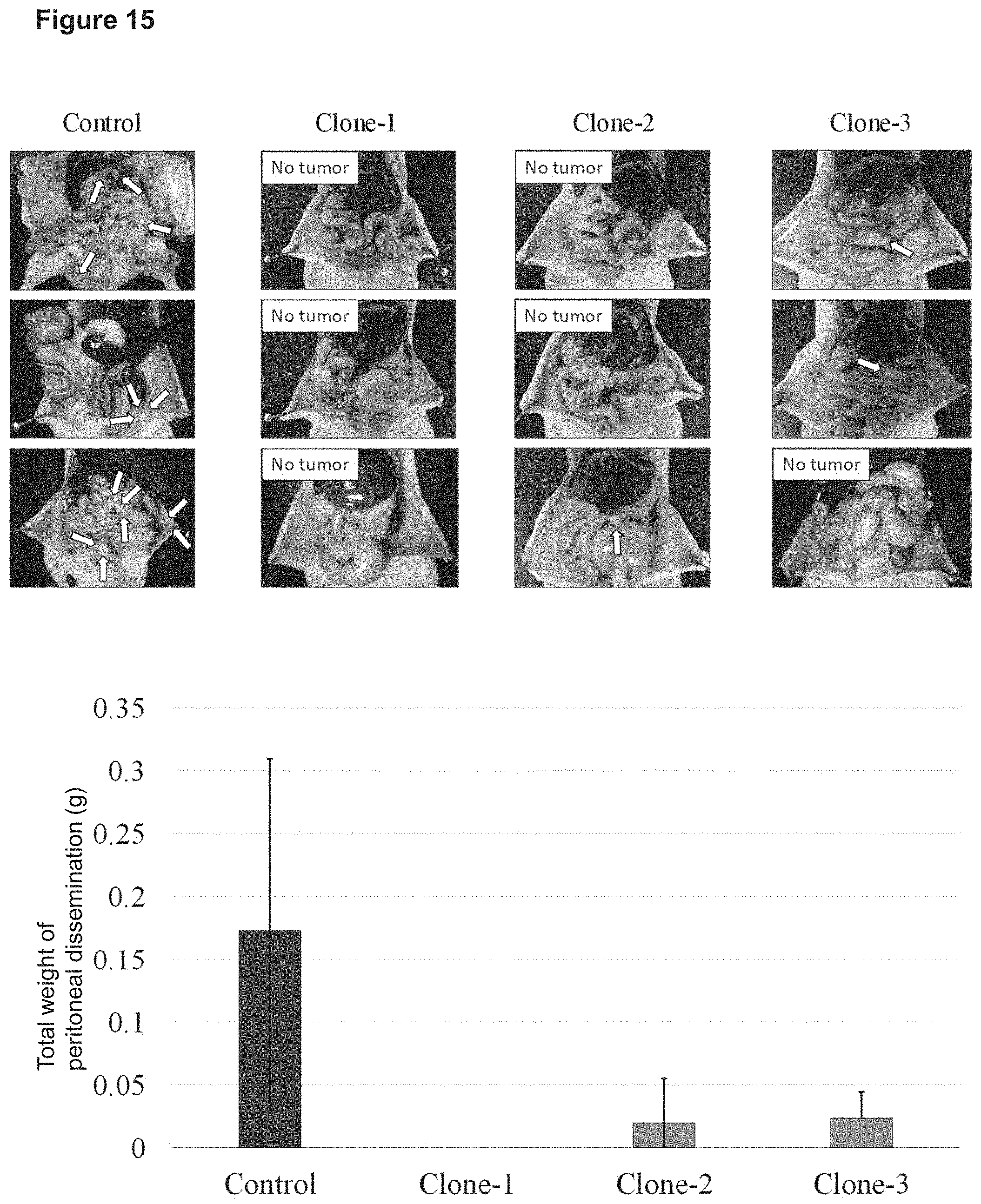 Patent US11773169 Figure 14 – Therapeutic agent targeted to receptor protein, test agent, antibody that binds to receptor protein, and screening method for molecularly targeted drugs