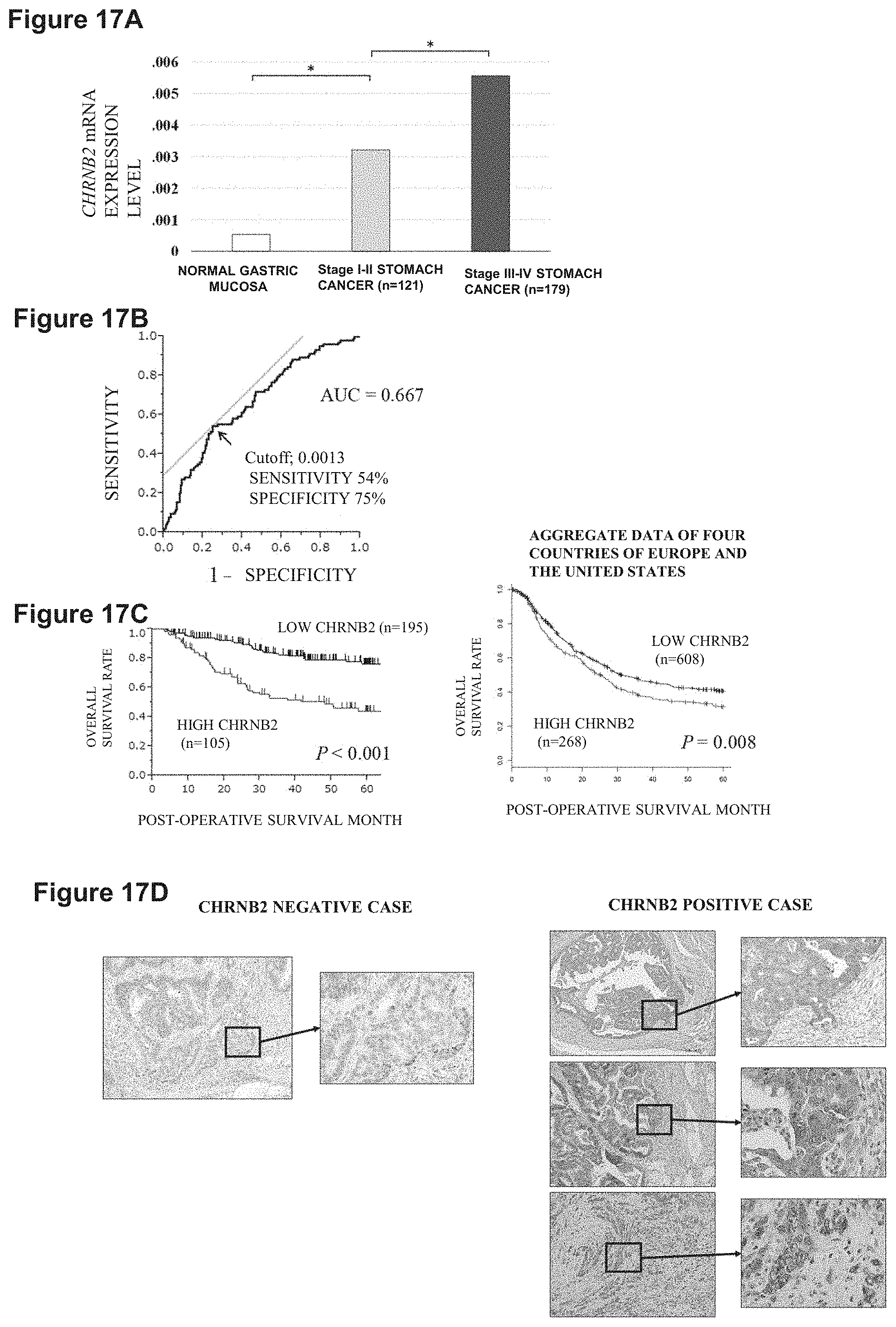 Patent US11773169 Figure 16 – Therapeutic agent targeted to receptor protein, test agent, antibody that binds to receptor protein, and screening method for molecularly targeted drugs