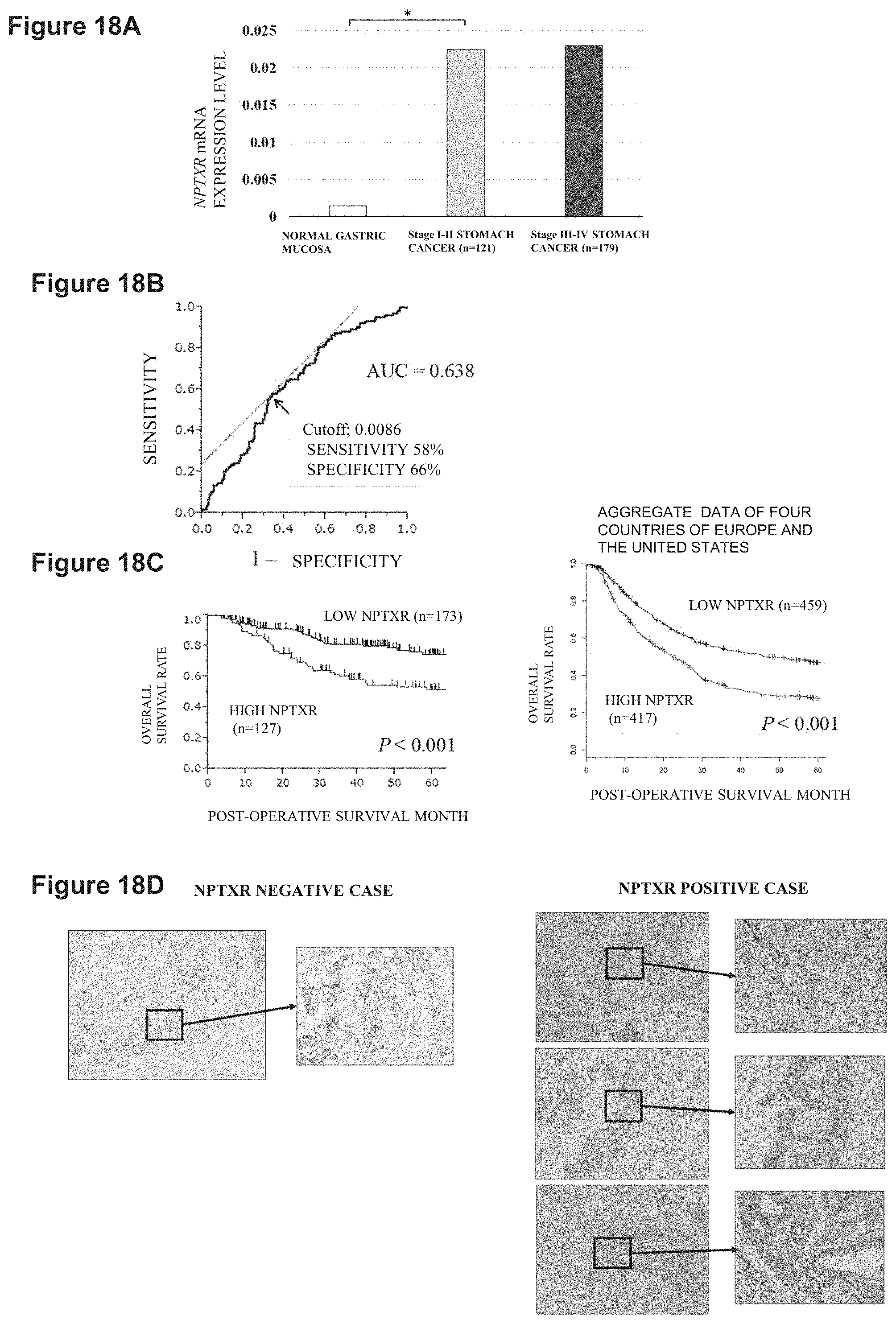 Patent US11773169 Figure 17 – Therapeutic agent targeted to receptor protein, test agent, antibody that binds to receptor protein, and screening method for molecularly targeted drugs