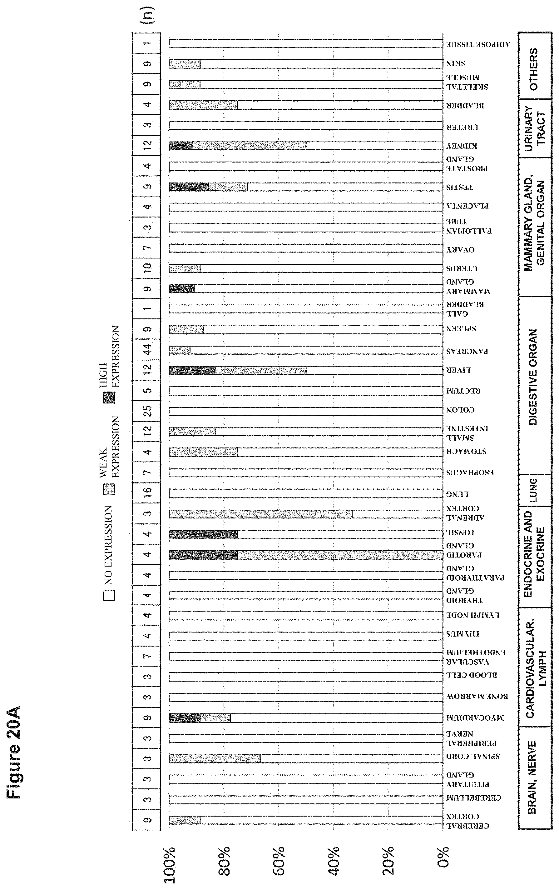 Patent US11773169 Figure 19 – Therapeutic agent targeted to receptor protein, test agent, antibody that binds to receptor protein, and screening method for molecularly targeted drugs
