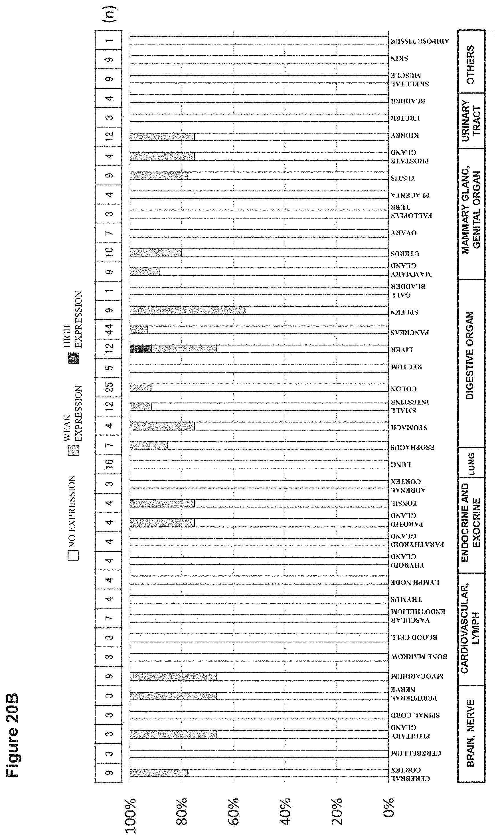 Patent US11773169 Figure 20 – Therapeutic agent targeted to receptor protein, test agent, antibody that binds to receptor protein, and screening method for molecularly targeted drugs