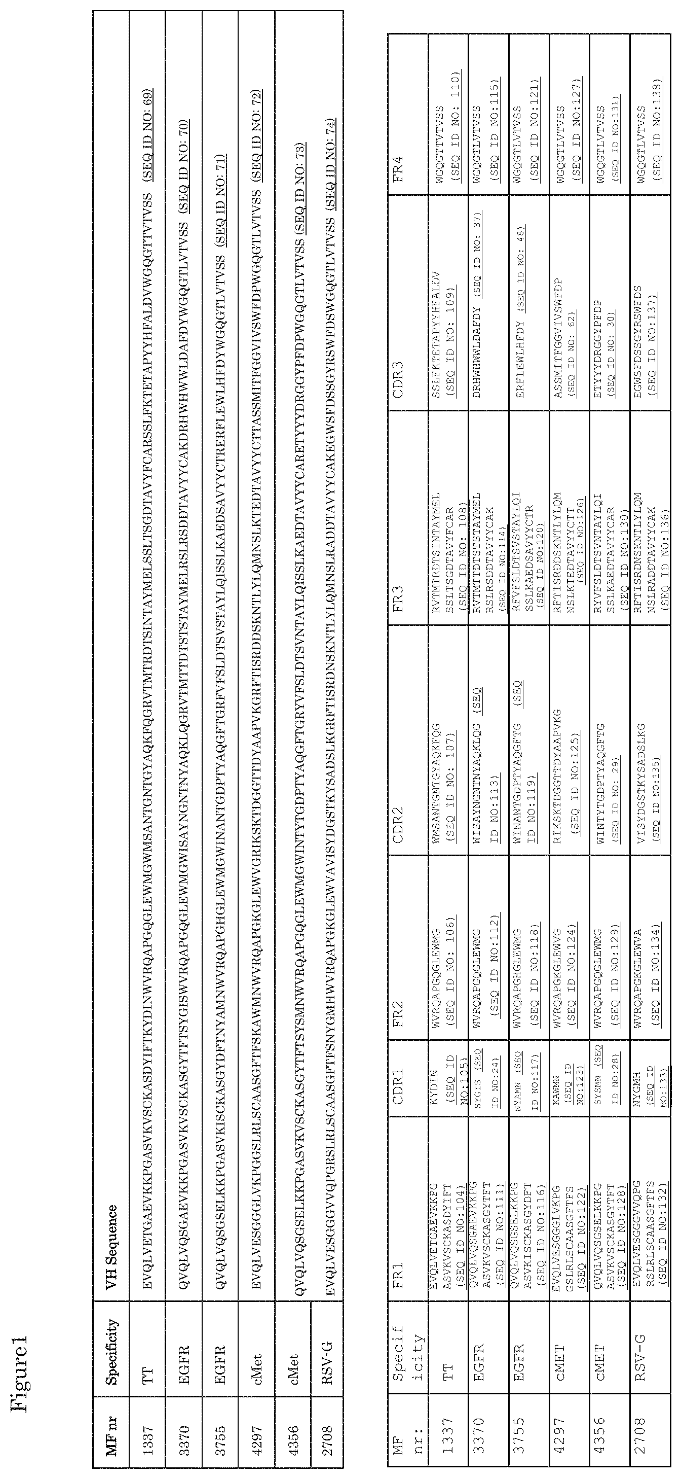 Patent US11773170 Figure 1 – Antibodies that bind EGFR and cMET