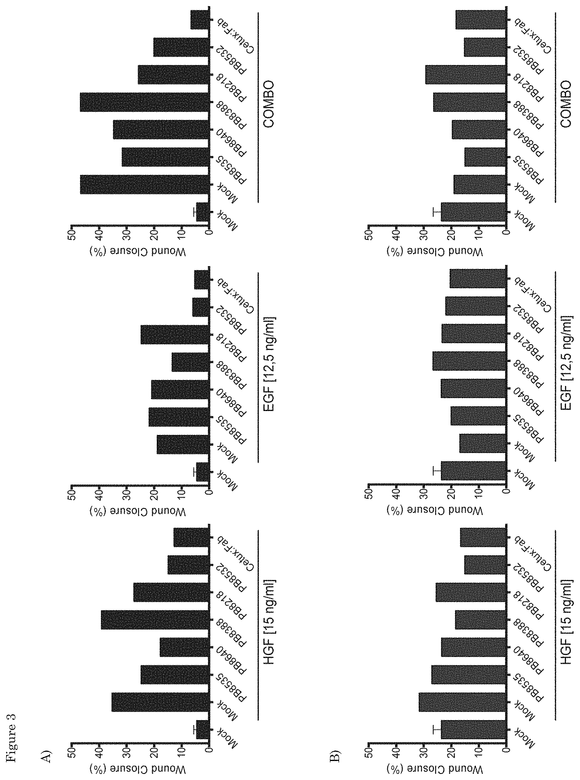Patent US11773170 Figure 3 – Antibodies that bind EGFR and cMET