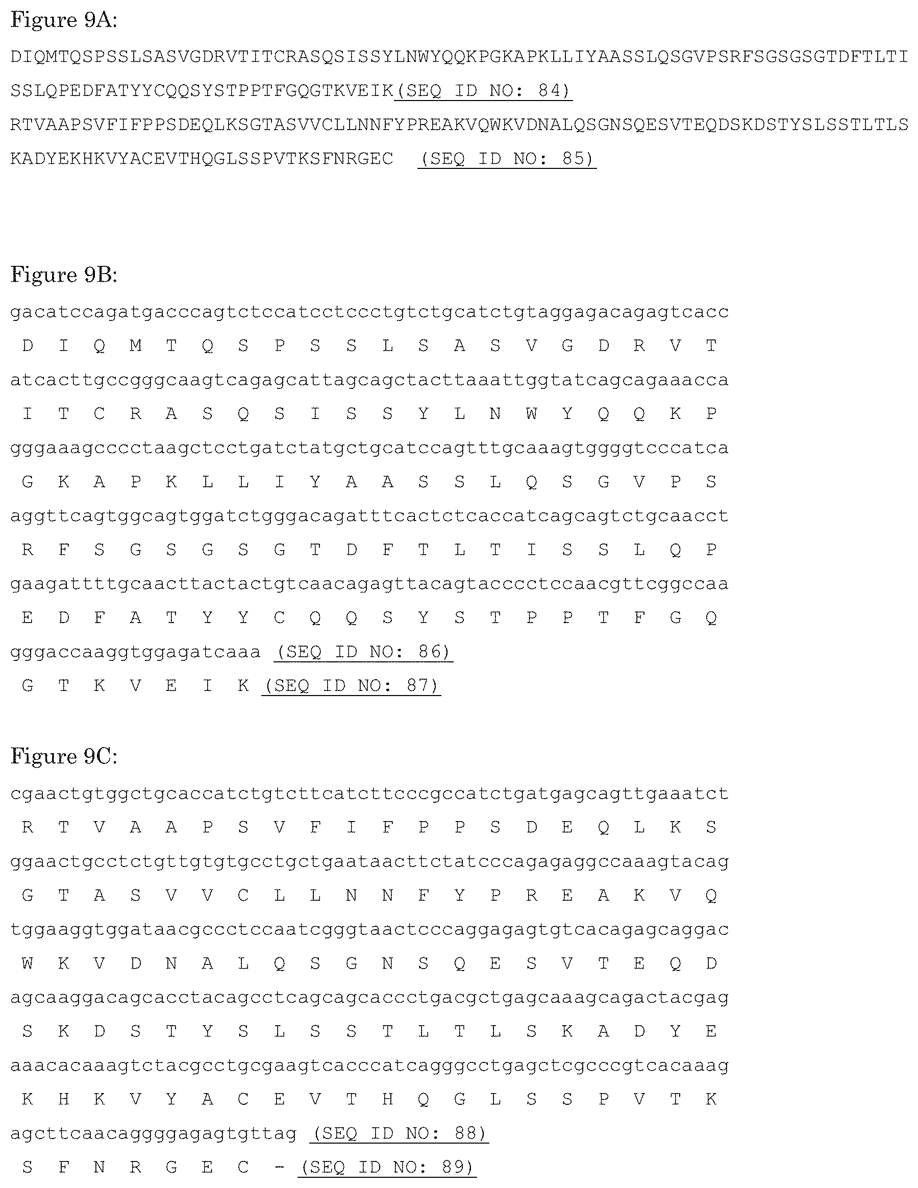 Patent US11773170 Figure 10 – Antibodies that bind EGFR and cMET
