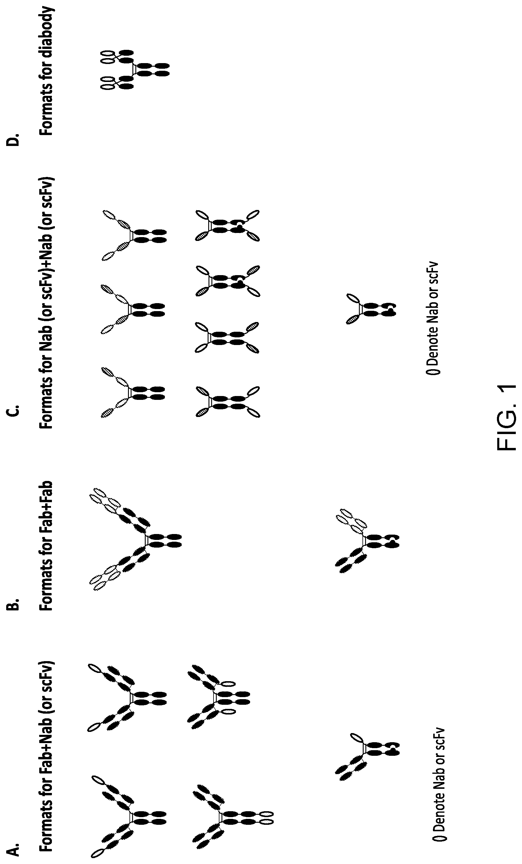 Patent US11773171 Figure 1 – WNT surrogate molecules and uses thereof