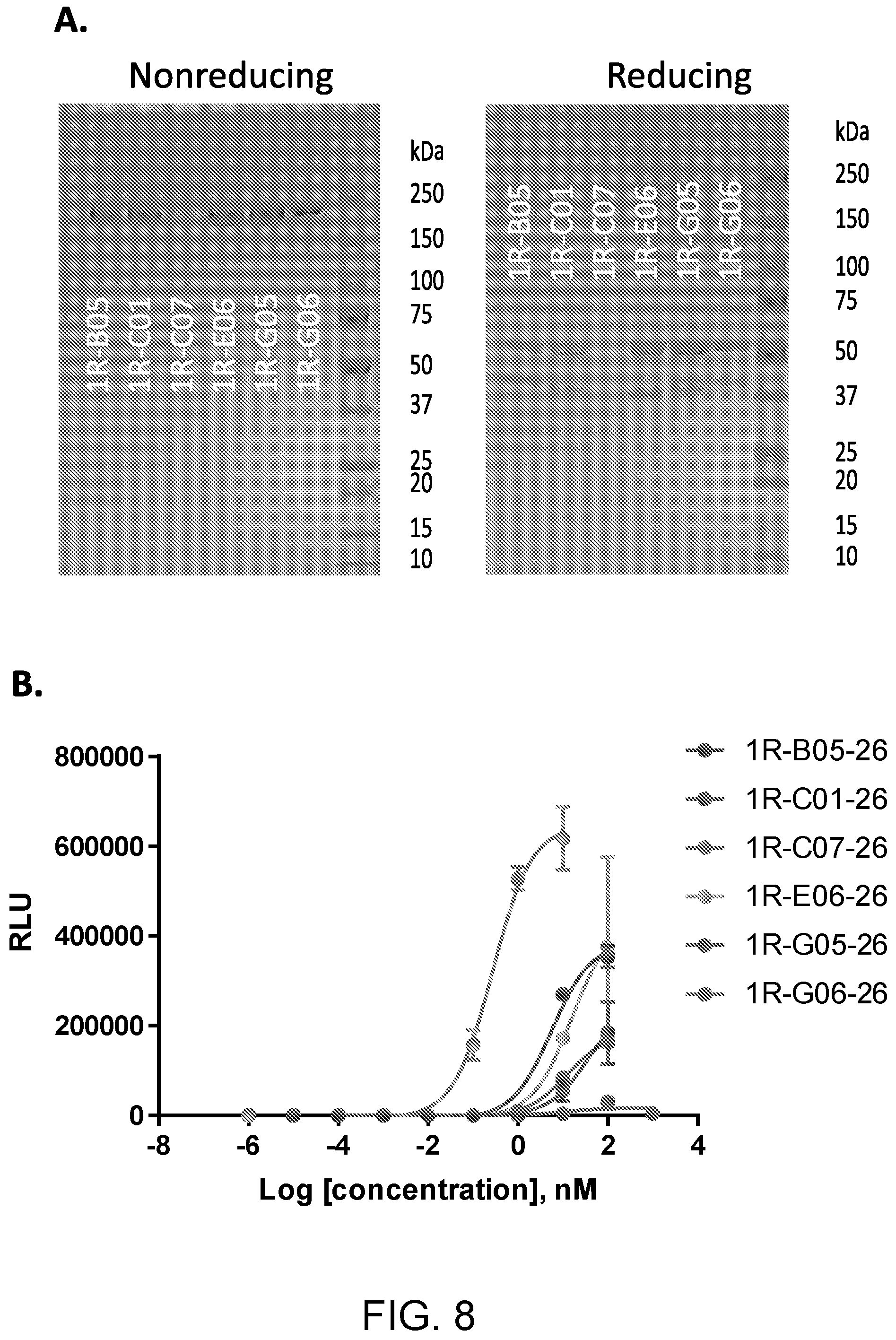 Patent US11773171 Figure 14 – WNT surrogate molecules and uses thereof