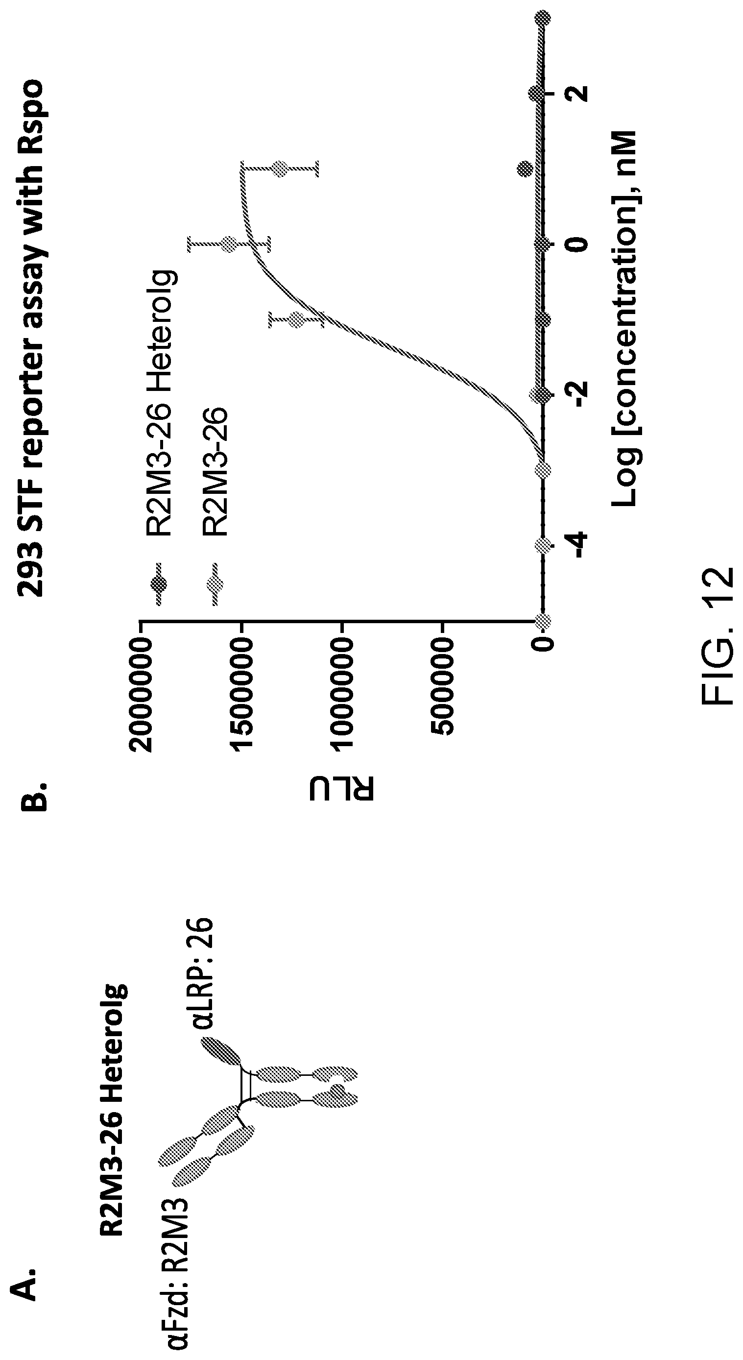 Patent US11773171 Figure 18 – WNT surrogate molecules and uses thereof