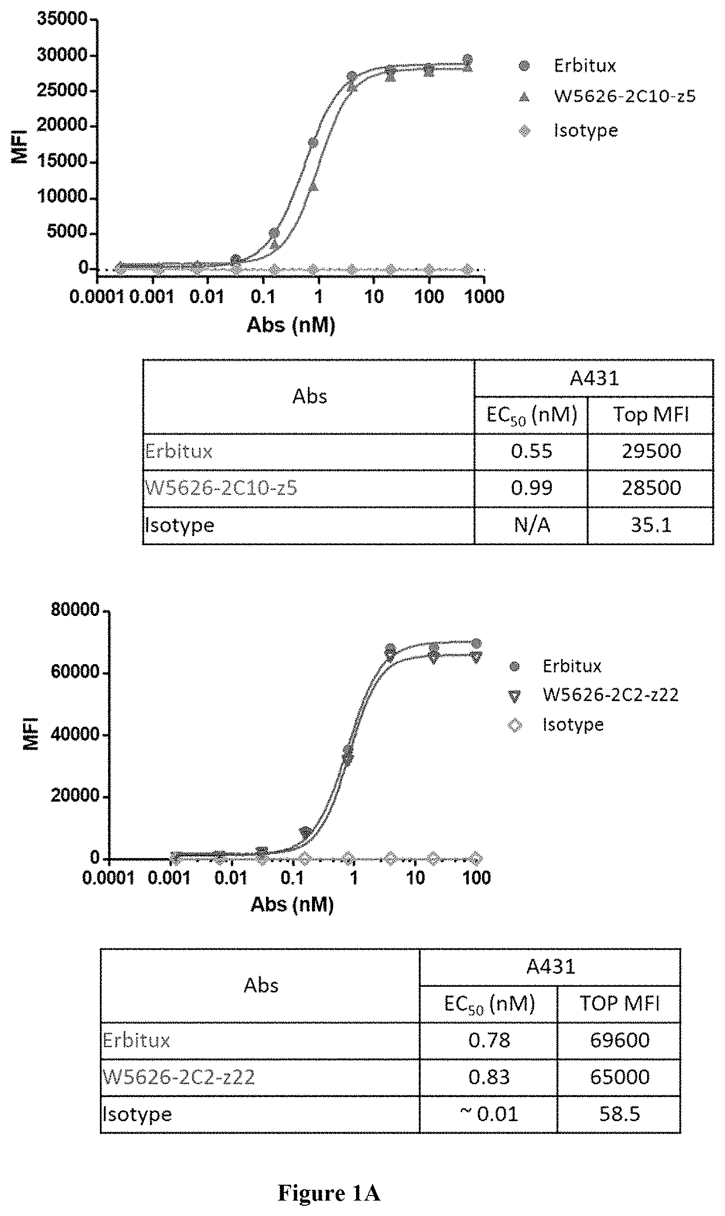 Patent US11773172 Figure 1 – Anti-EGFR antibody polypeptide