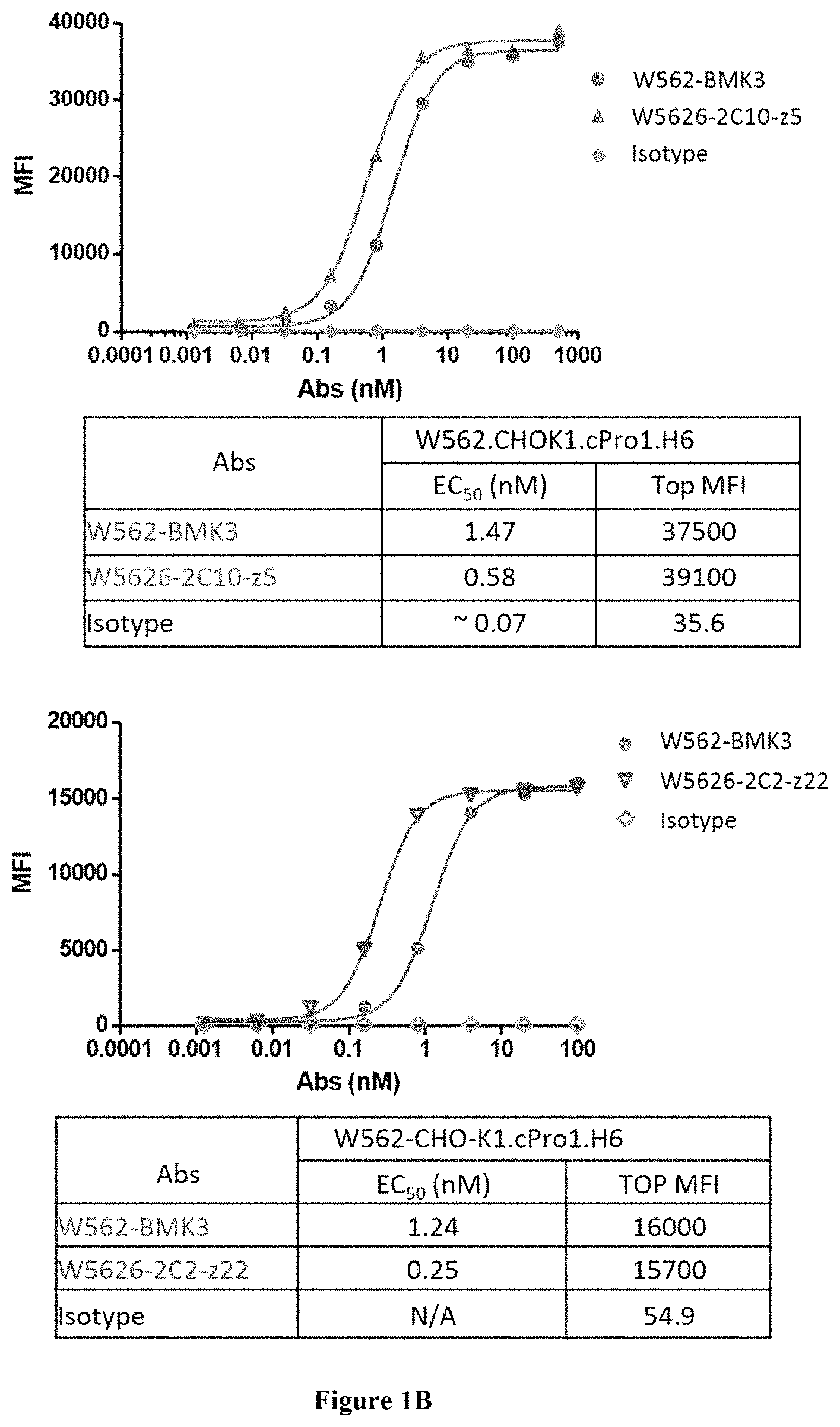 Patent US11773172 Figure 2 – Anti-EGFR antibody polypeptide