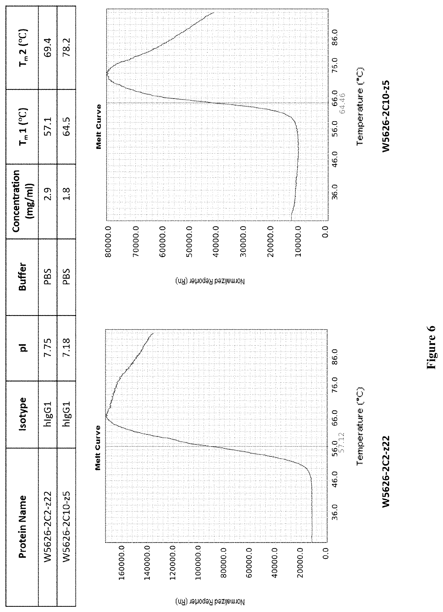 Patent US11773172 Figure 10 – Anti-EGFR antibody polypeptide