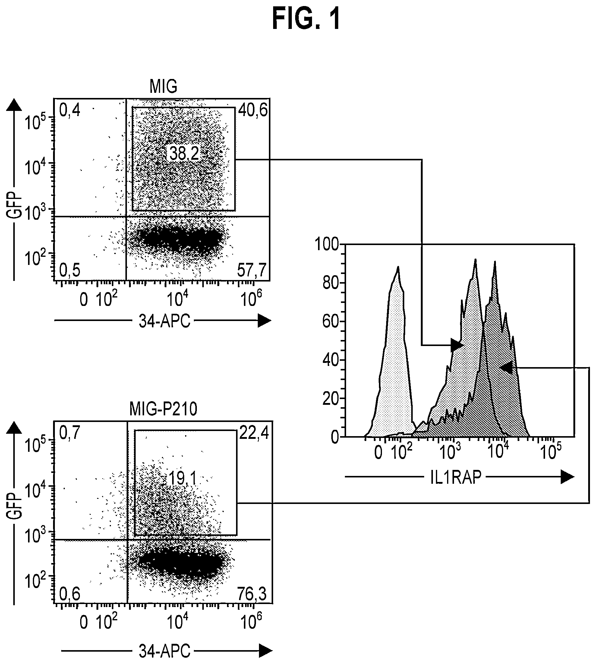 Patent US11773174 Figure 1 – Anti-IL1RAP antibodies and their use for treating humans