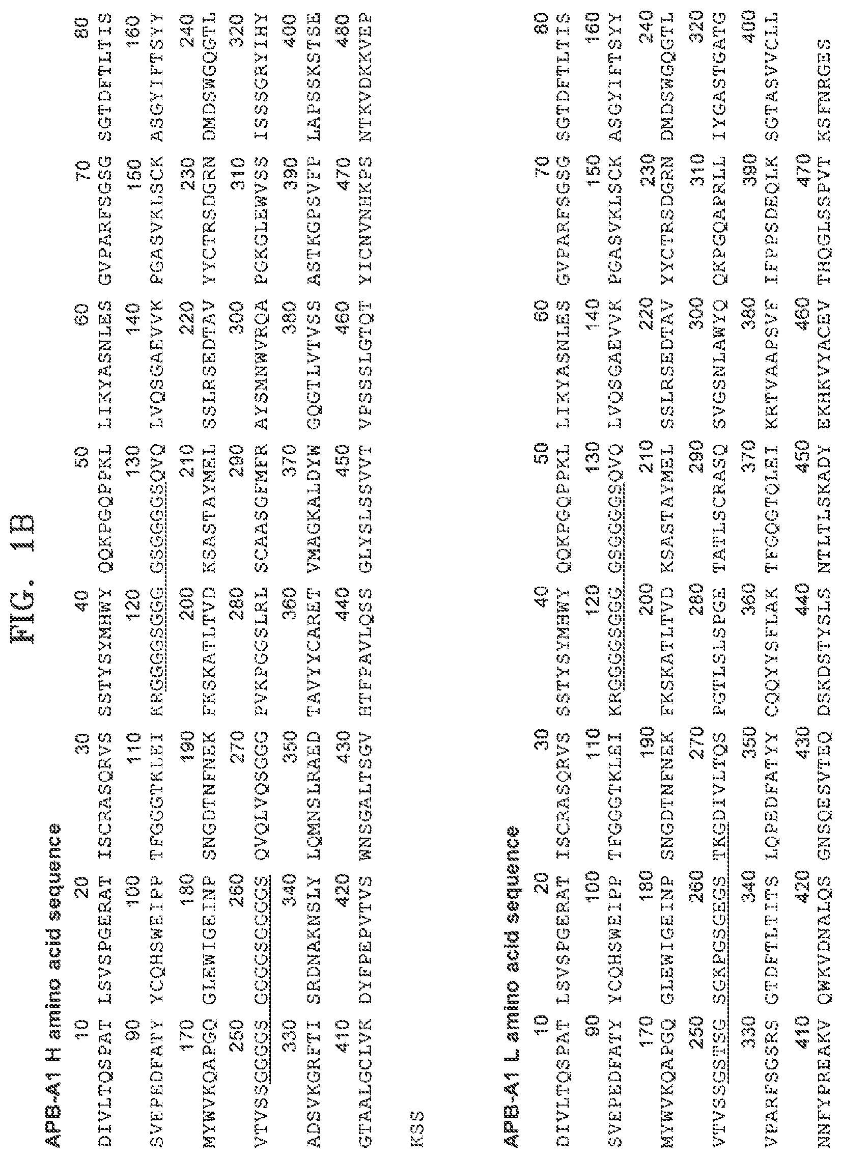 Patent US11773176 Figure 2 – Multispecific antibodies, compositions comprising the same, and vectors and uses thereof