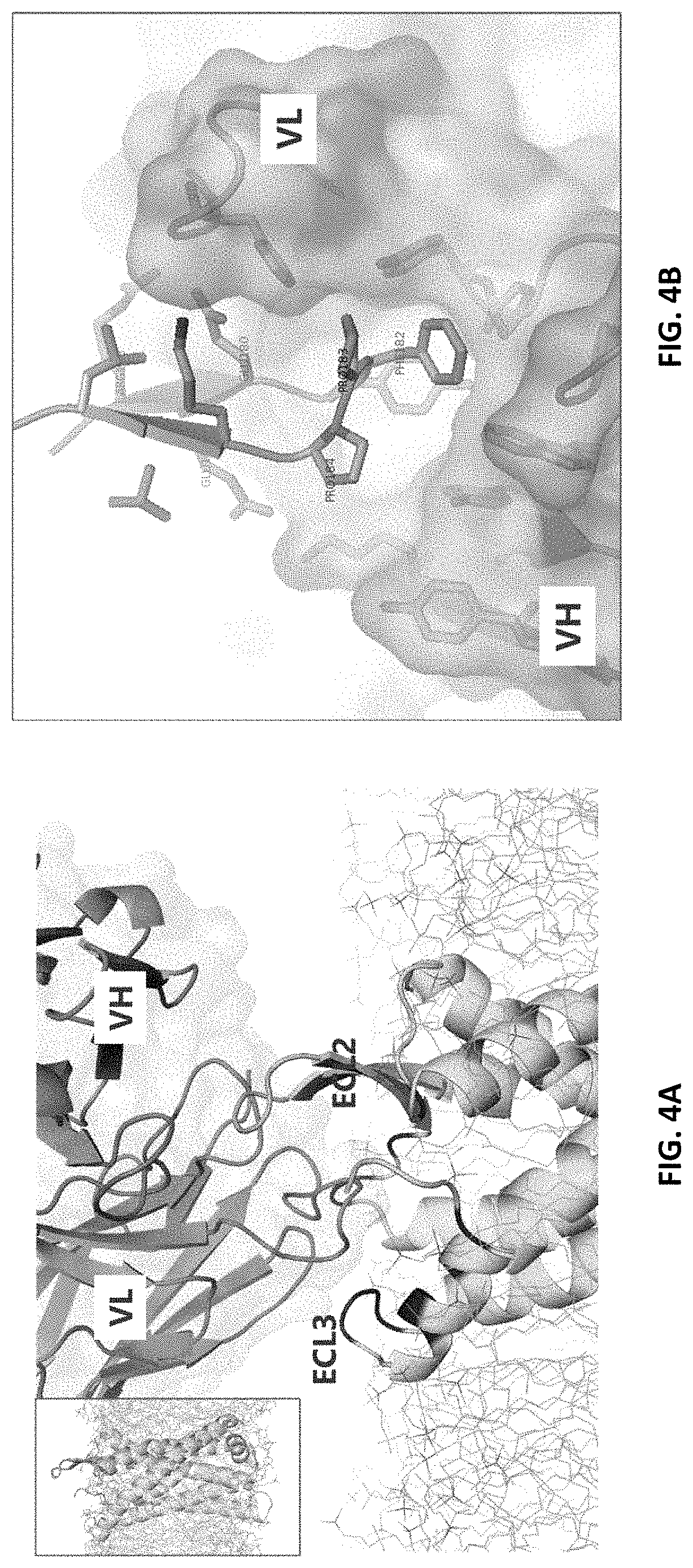 Patent US11773179 Figure 4 – Antibody molecules to C5aR1 and uses thereof