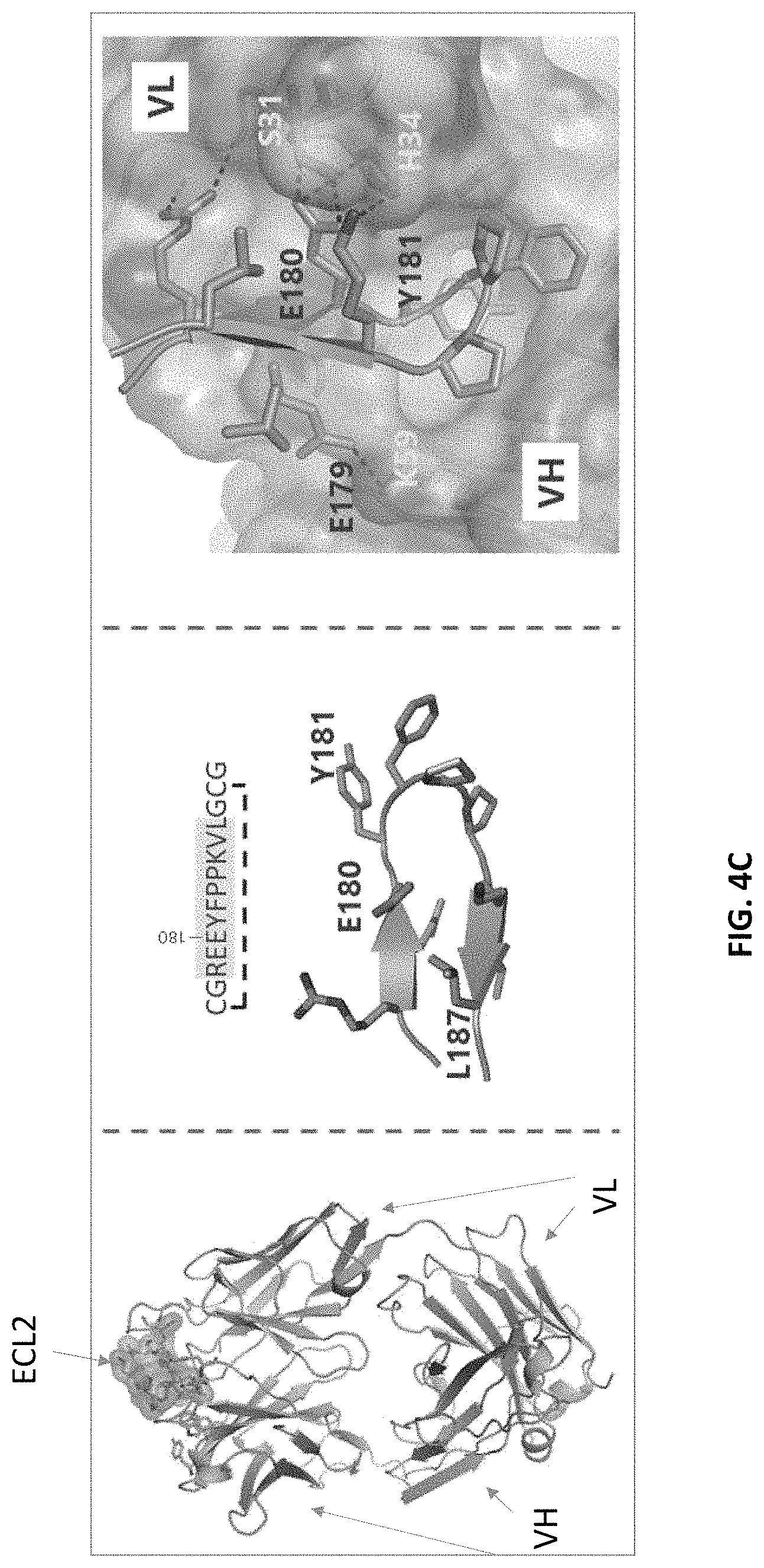 Patent US11773179 Figure 5 – Antibody molecules to C5aR1 and uses thereof