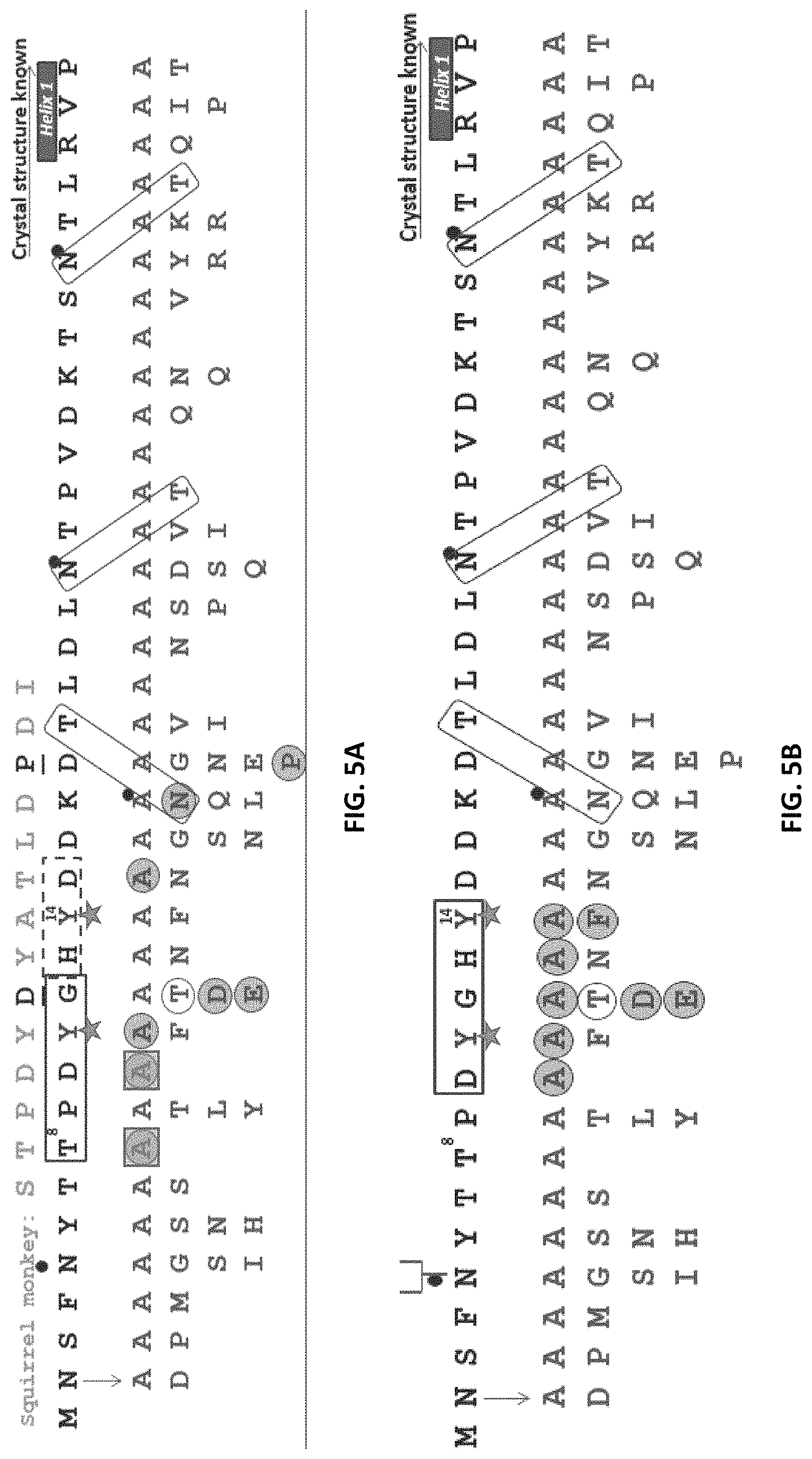 Patent US11773179 Figure 6 – Antibody molecules to C5aR1 and uses thereof
