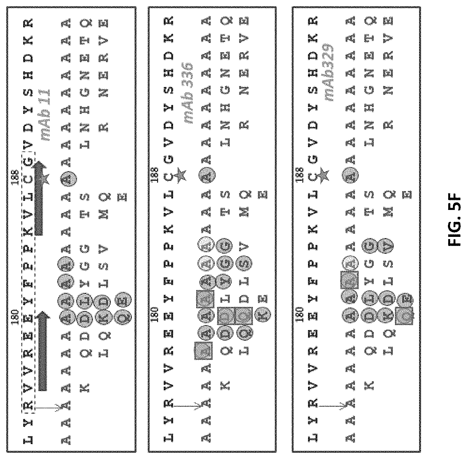 Patent US11773179 Figure 8 – Antibody molecules to C5aR1 and uses thereof