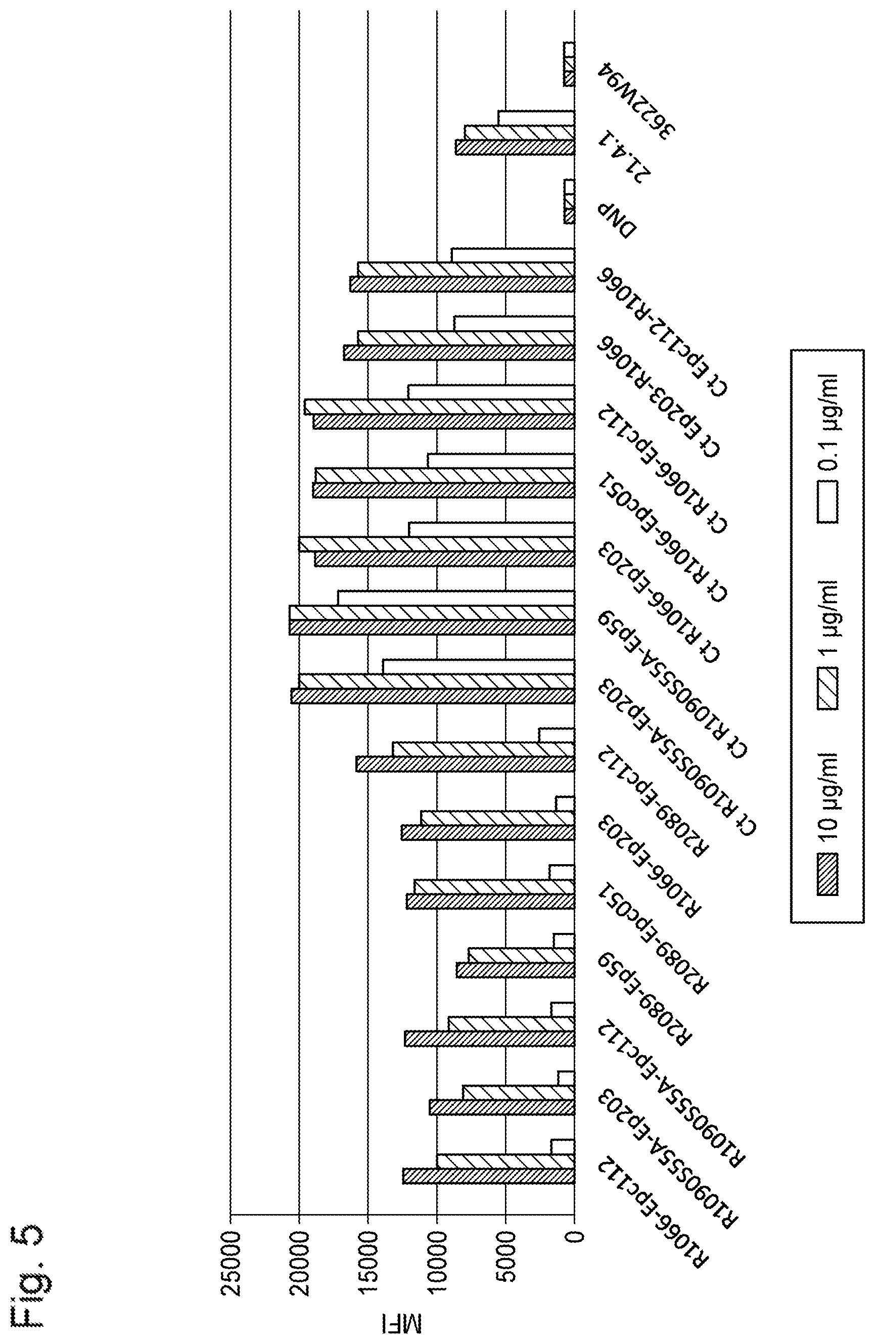 Patent US11773180 Figure 5 – Bispecific antibody which binds to CD40 and EpCAM