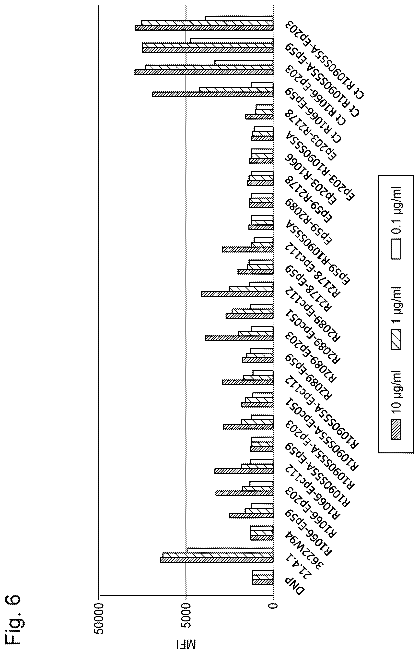 Patent US11773180 Figure 6 – Bispecific antibody which binds to CD40 and EpCAM