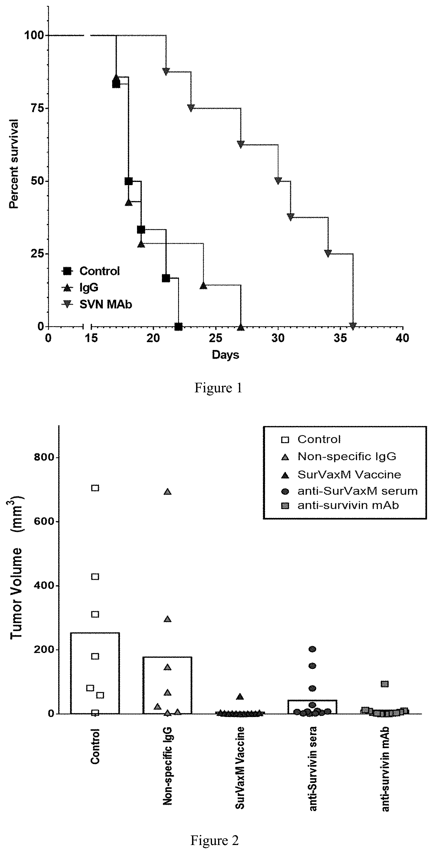 Patent US11773181 Figure 1 – Anti-survivin antibodies for cancer therapy