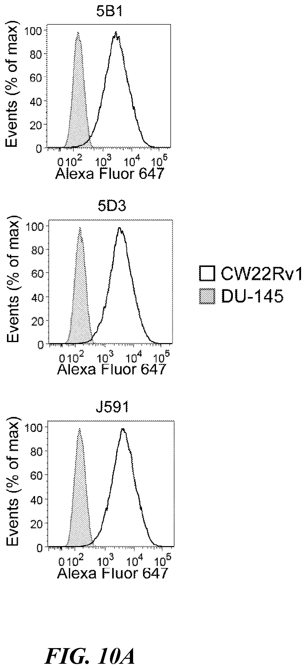 Patent US11773182 Figure 10 – Development of new monoclonal antibodies recognizing human prostate-specific membrane antigen (PSMA)