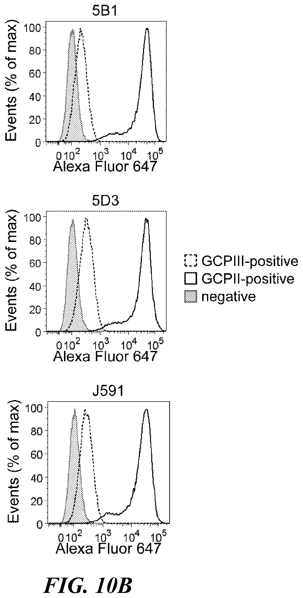 Patent US11773182 Figure 11 – Development of new monoclonal antibodies recognizing human prostate-specific membrane antigen (PSMA)