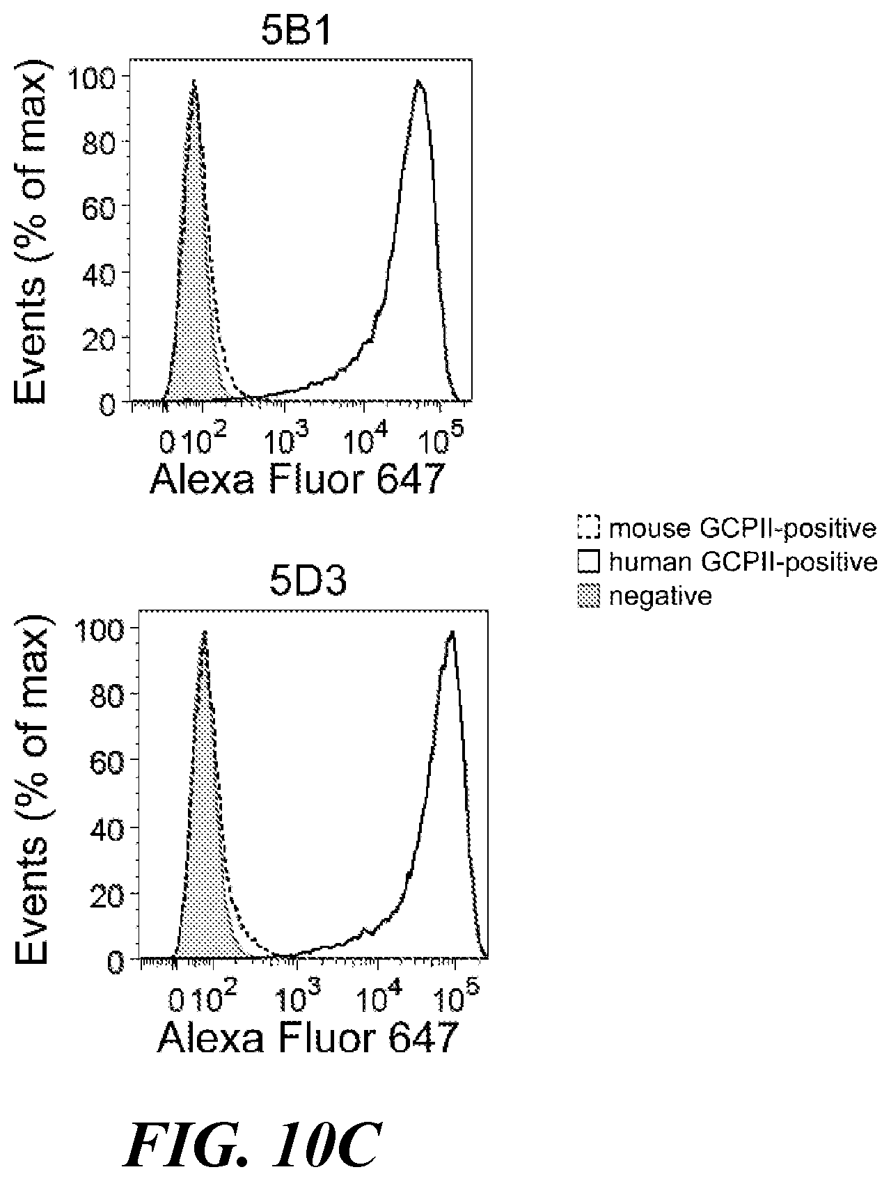 Patent US11773182 Figure 12 – Development of new monoclonal antibodies recognizing human prostate-specific membrane antigen (PSMA)