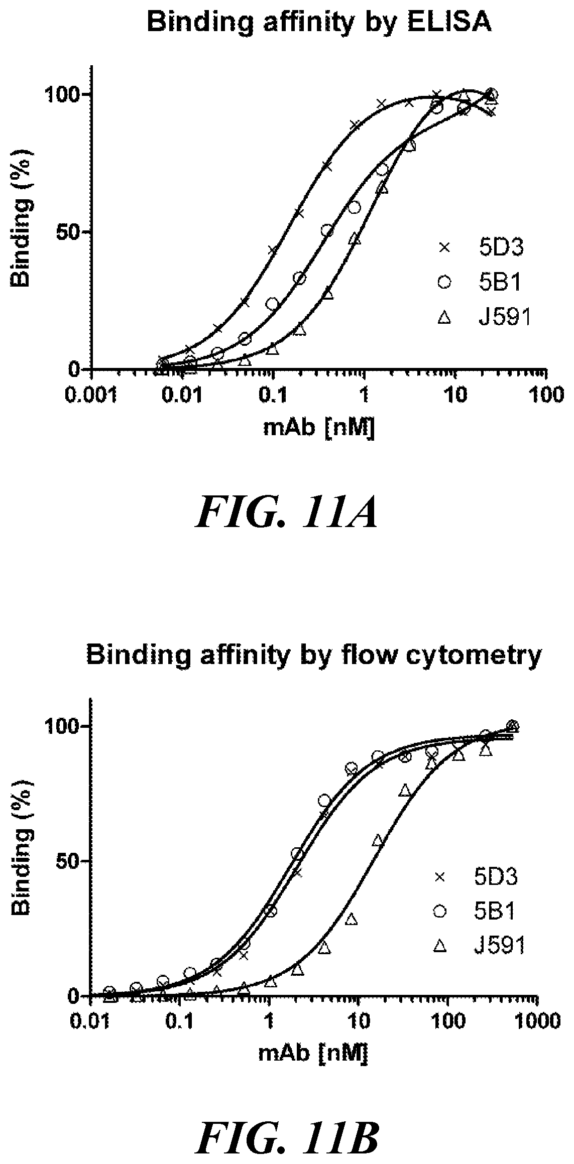 Patent US11773182 Figure 13 – Development of new monoclonal antibodies recognizing human prostate-specific membrane antigen (PSMA)