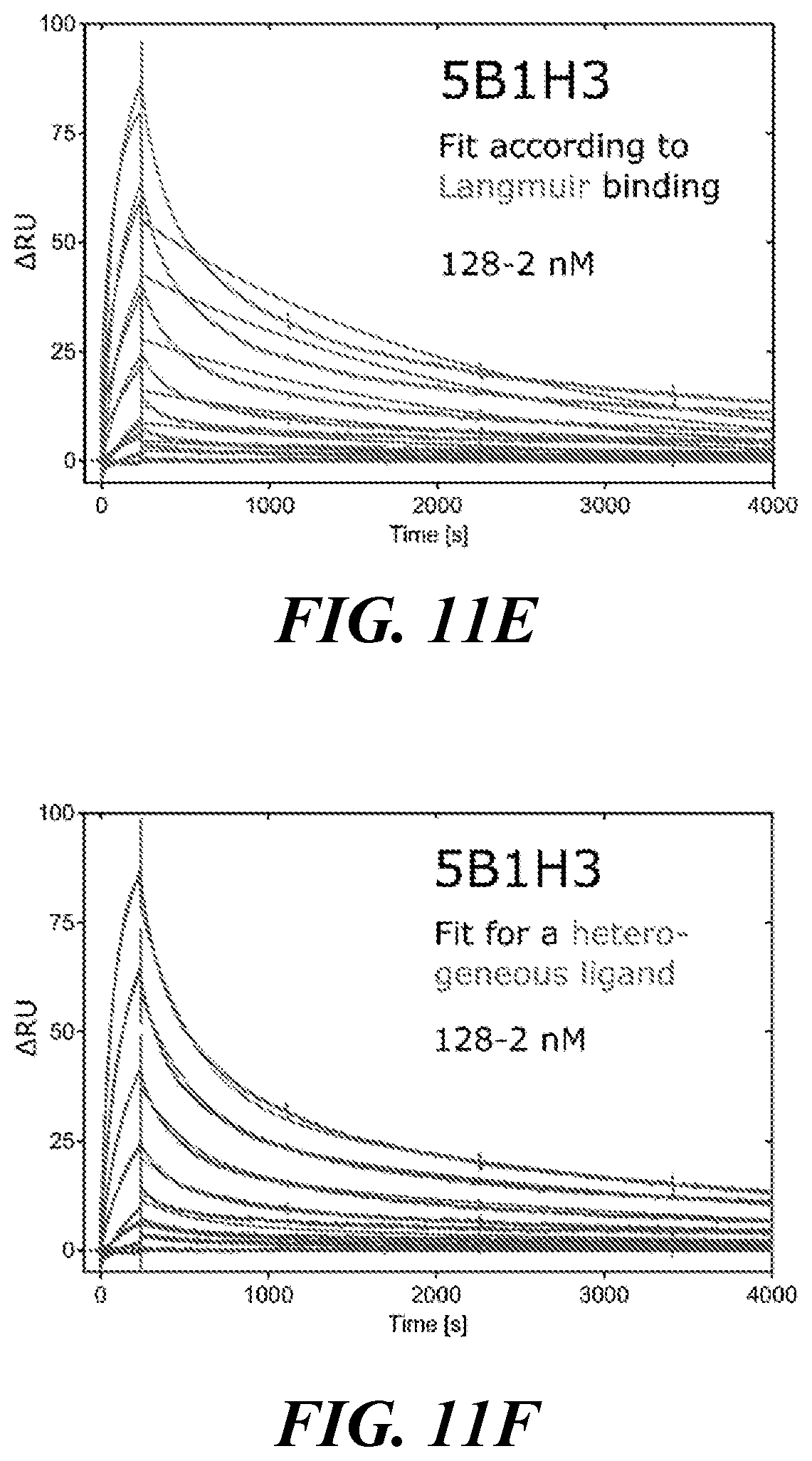 Patent US11773182 Figure 15 – Development of new monoclonal antibodies recognizing human prostate-specific membrane antigen (PSMA)