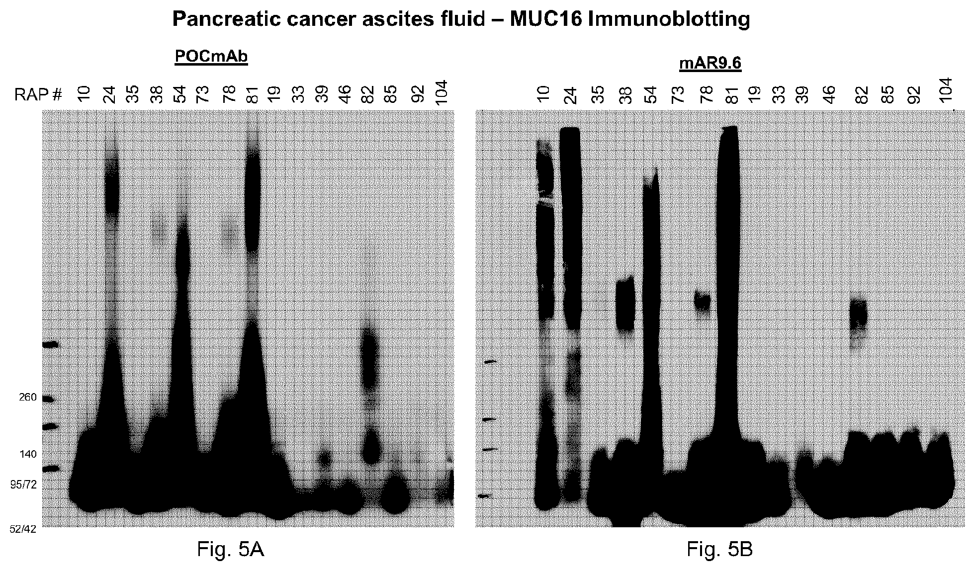 Patent US11773183 Figure 5 – MUC16 monoclonal antibody and uses thereof