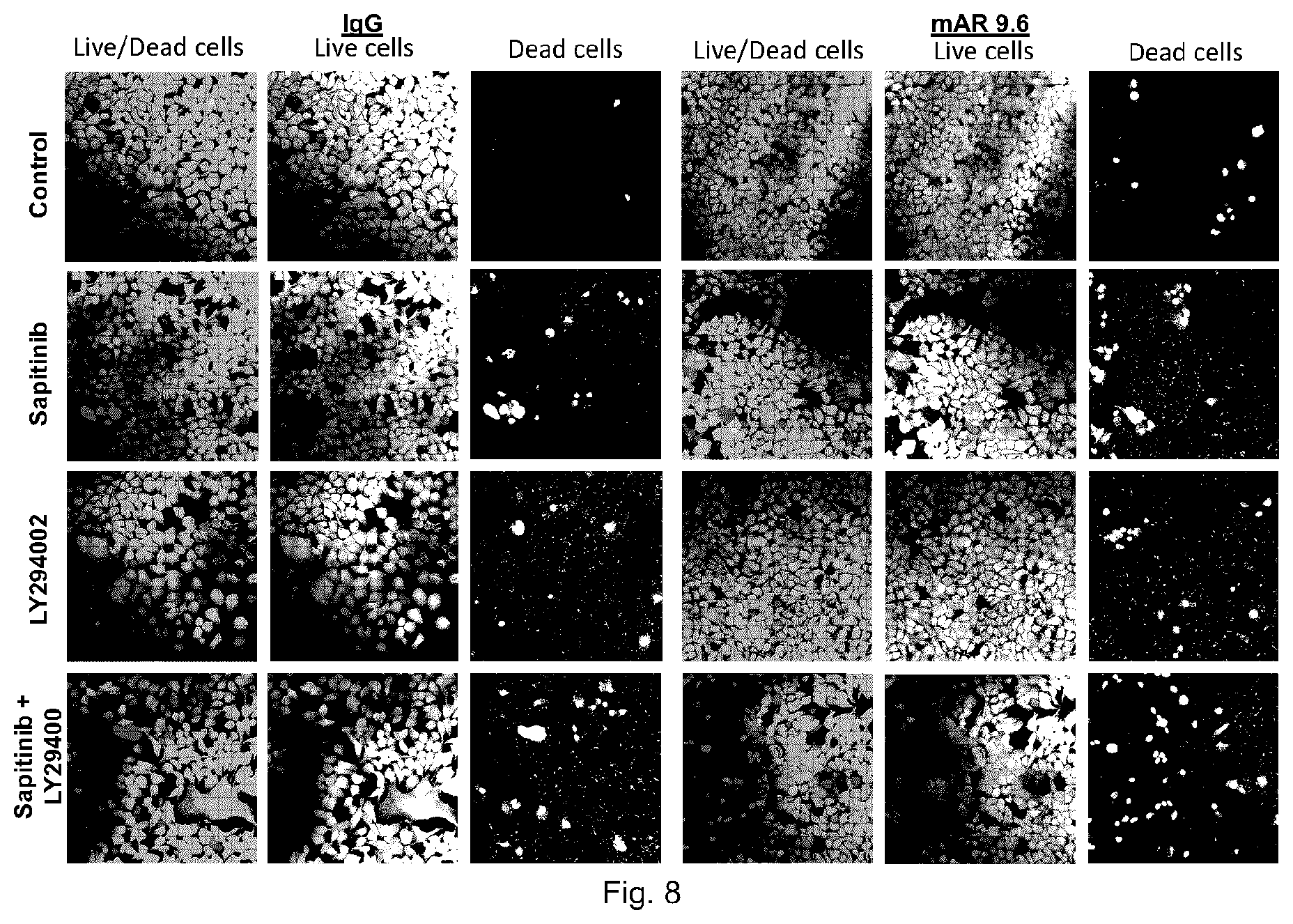 Patent US11773183 Figure 8 – MUC16 monoclonal antibody and uses thereof
