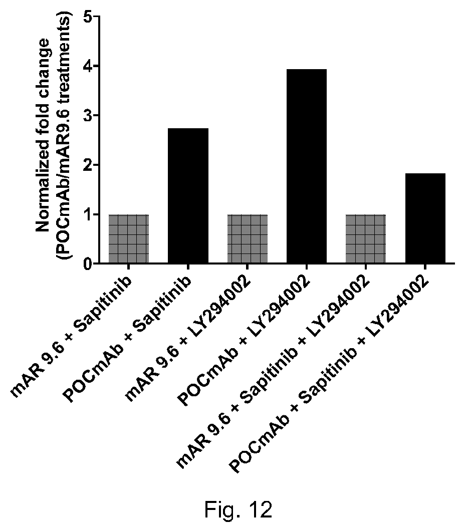 Patent US11773183 Figure 12 – MUC16 monoclonal antibody and uses thereof