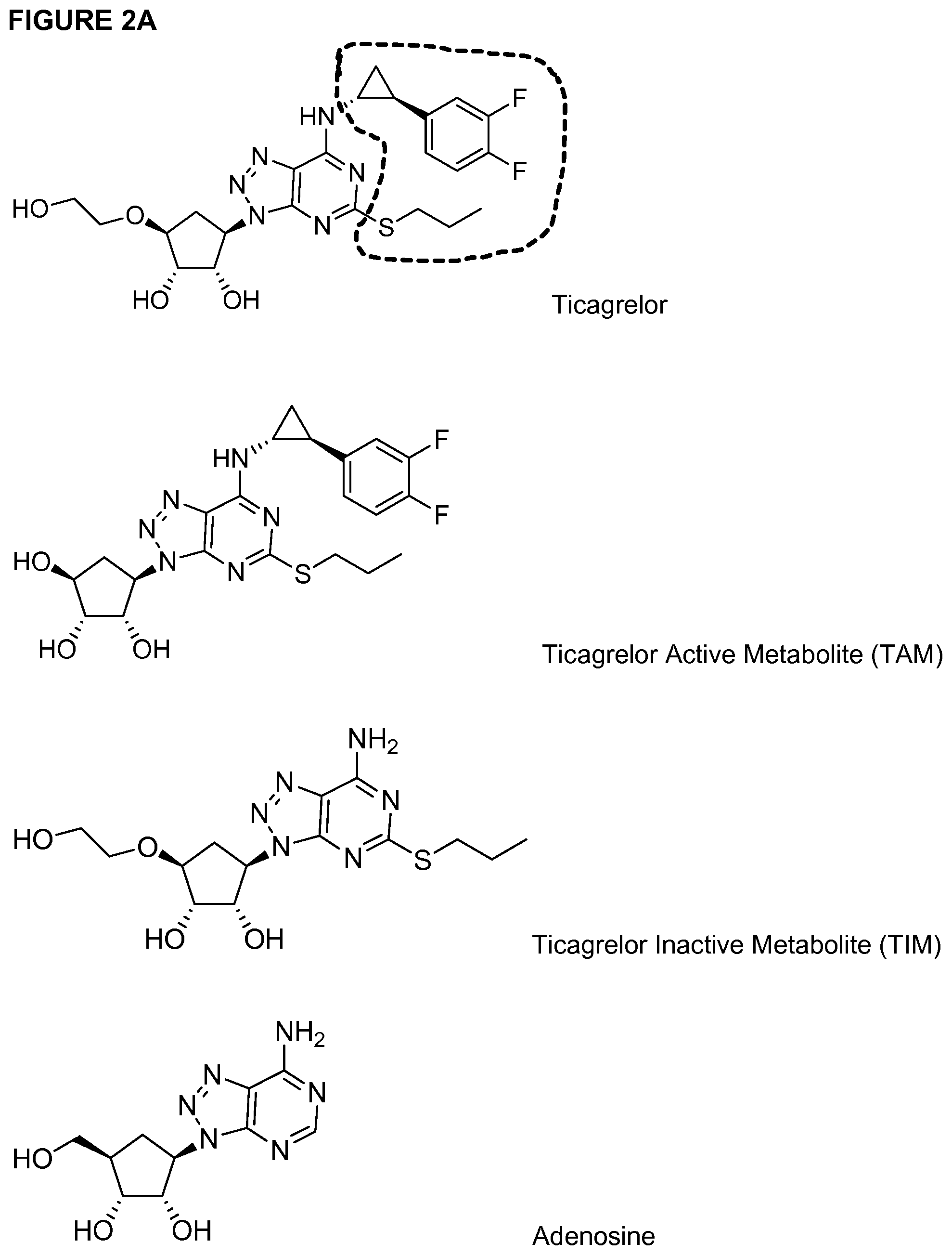 Patent US11773186 Figure 2 – Antibodies to ticagrelor and methods of use
