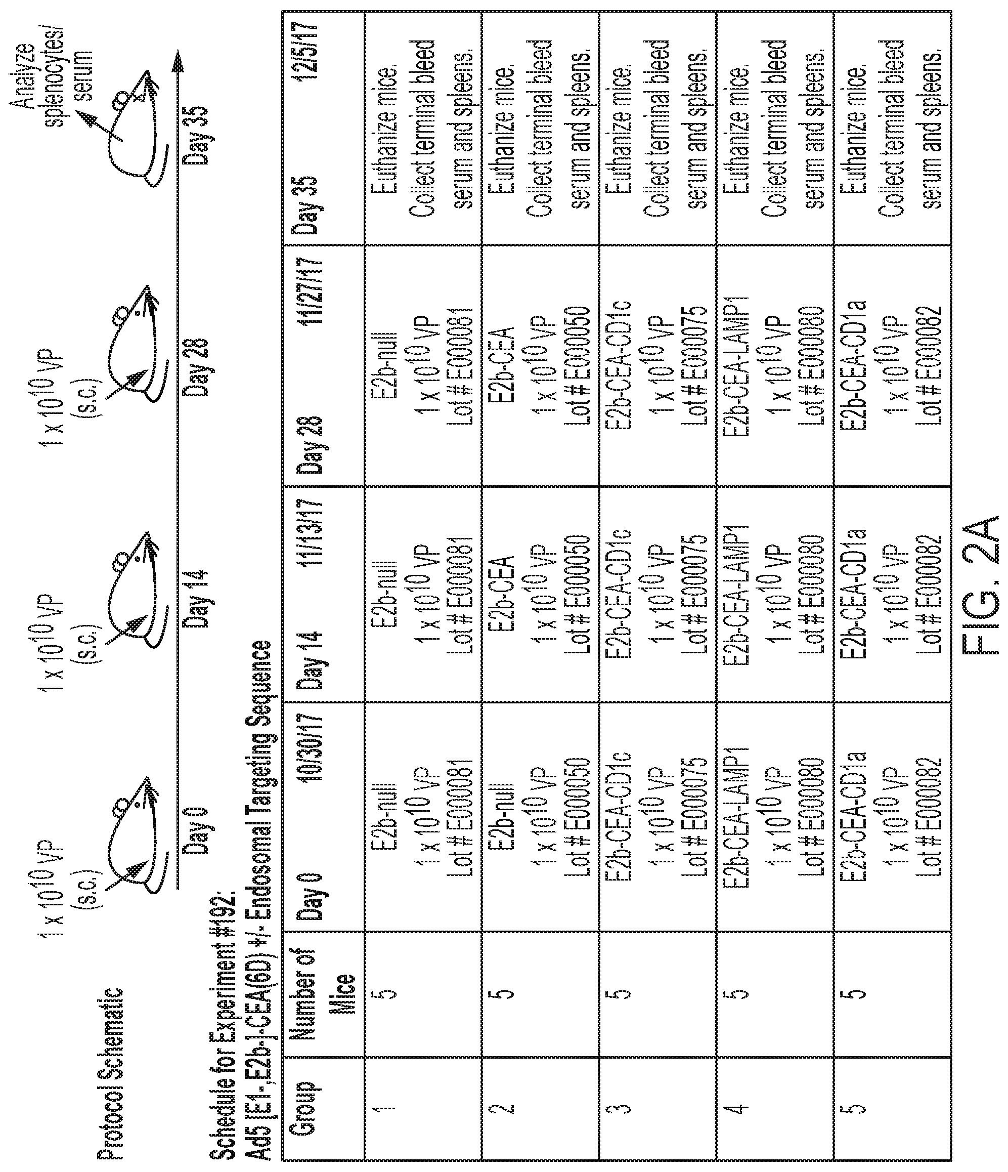 Patent US11773187 Figure 2 – Enhanced immunogenicity for GPI-anchored antigens